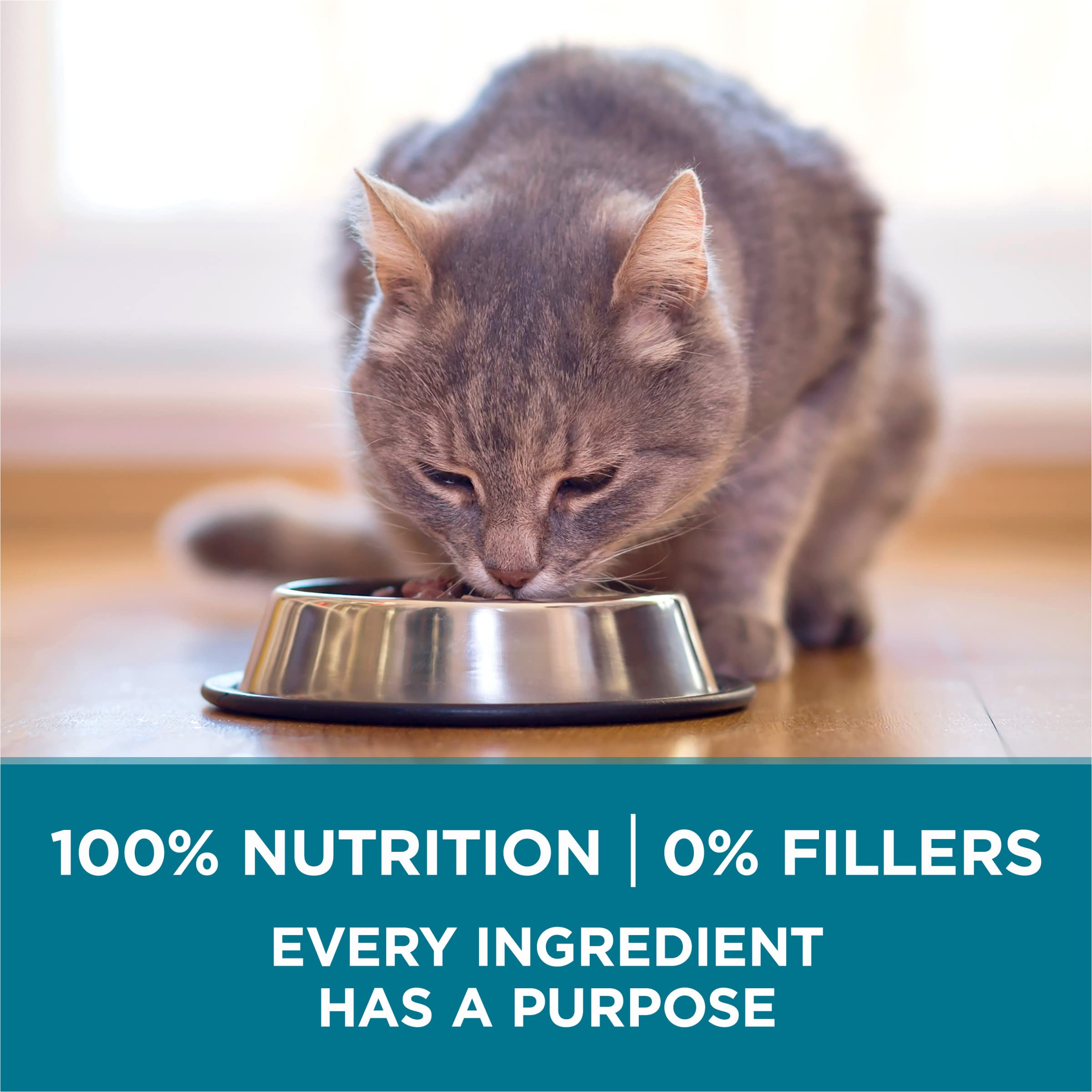 Purina ONE Natural Dry Cat Food with Real Salmon - Tender Selects Blend for Adult Cats, 7 lb Bag - High Protein & Healthy Ingredients for Indoor & Outdoor Cats