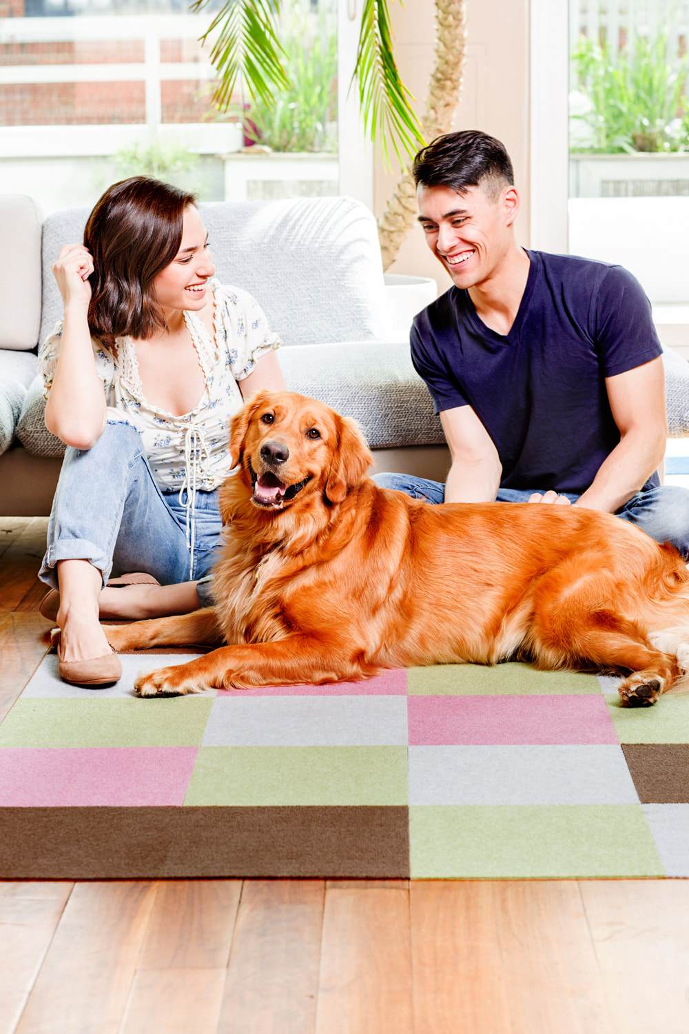25% OFF: Triluc Non-Slip Washable & Waterproof Pet Mat - 4-Piece Set (Black) - Perfect for Kitchen, Living Room & Entryway to Keep Floors Clean & Dry