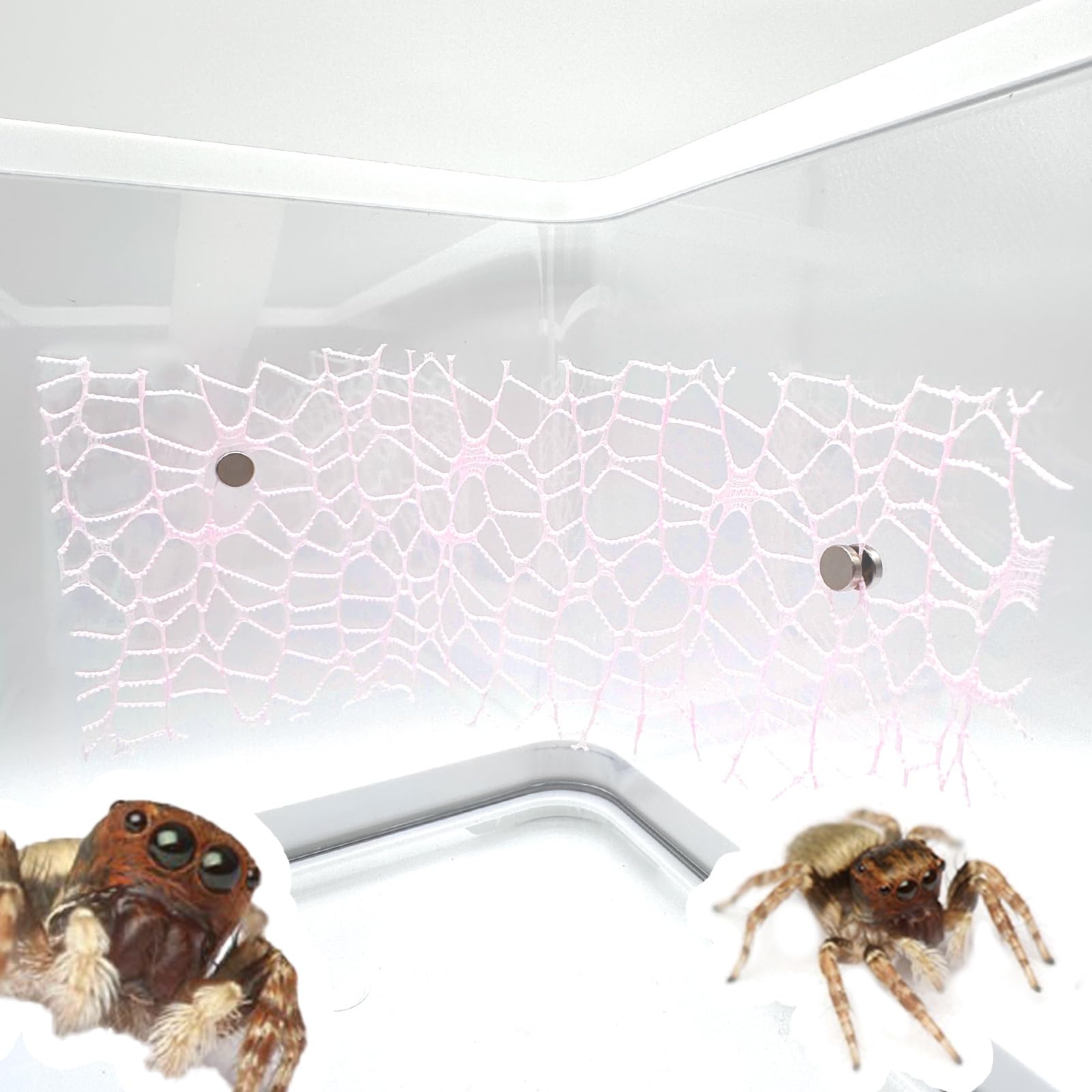 4 Pcs Jumping Spider Habitat Accessories with Magnets - Functional & Stylish Enclosure Décor for Pet Spiders | Perfect for Terrarium, Home Decor, and Educational Display (Pink)