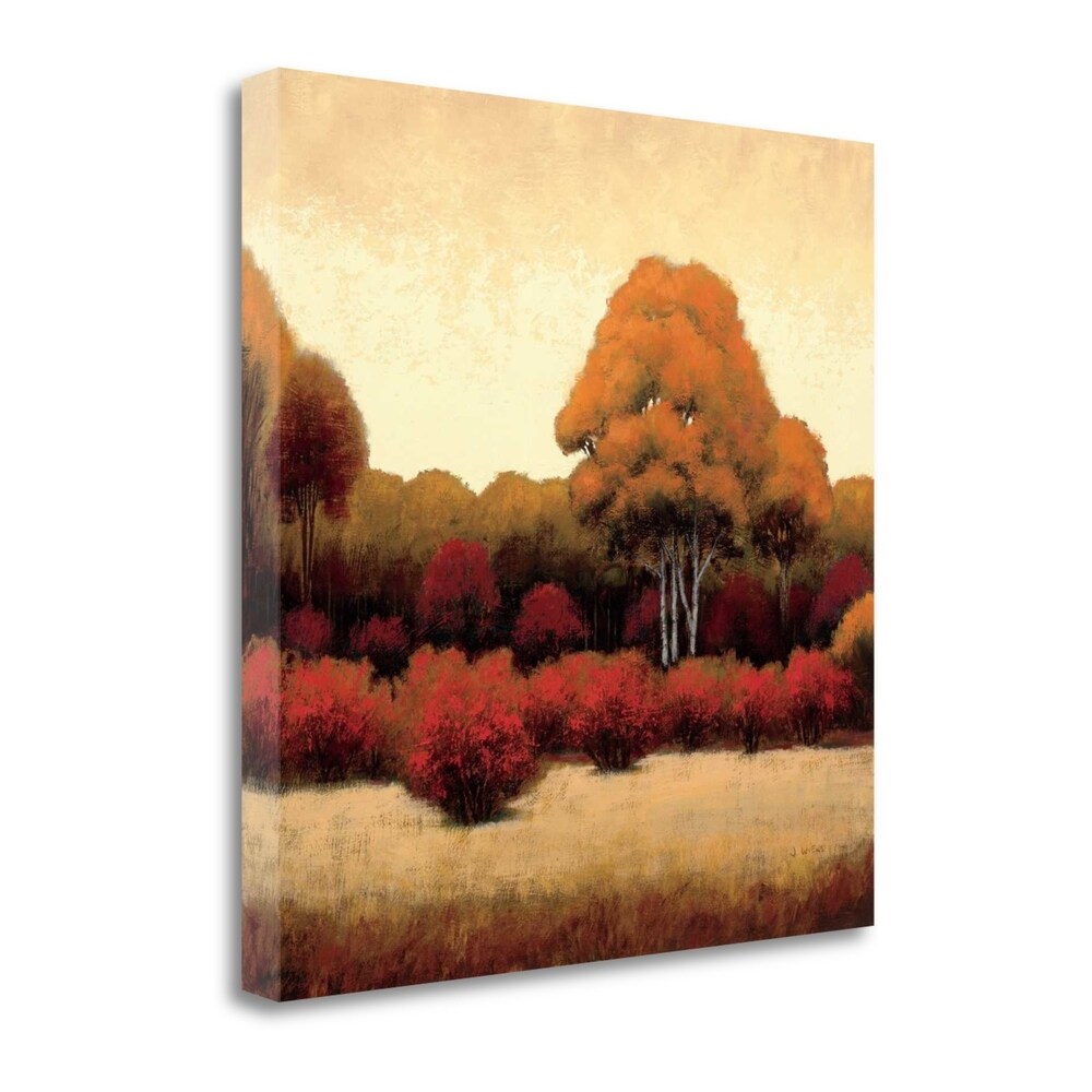 Autumn Forest I by James Wiens - Premium Giclee Art Print on Gallery Wrapped Canvas, Ready to Hang Wall Decor - Perfect for Living Room, Bedroom & Office
