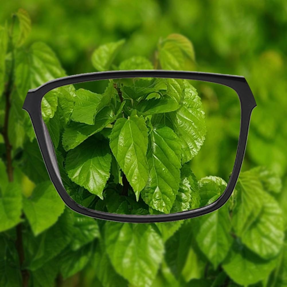 Photochromic Bifocal Reading Glasses for Men & Women - Light Adjusting Lenses for Indoor/Outdoor Use - Perfect for Reading, Driving & Outdoor Activities