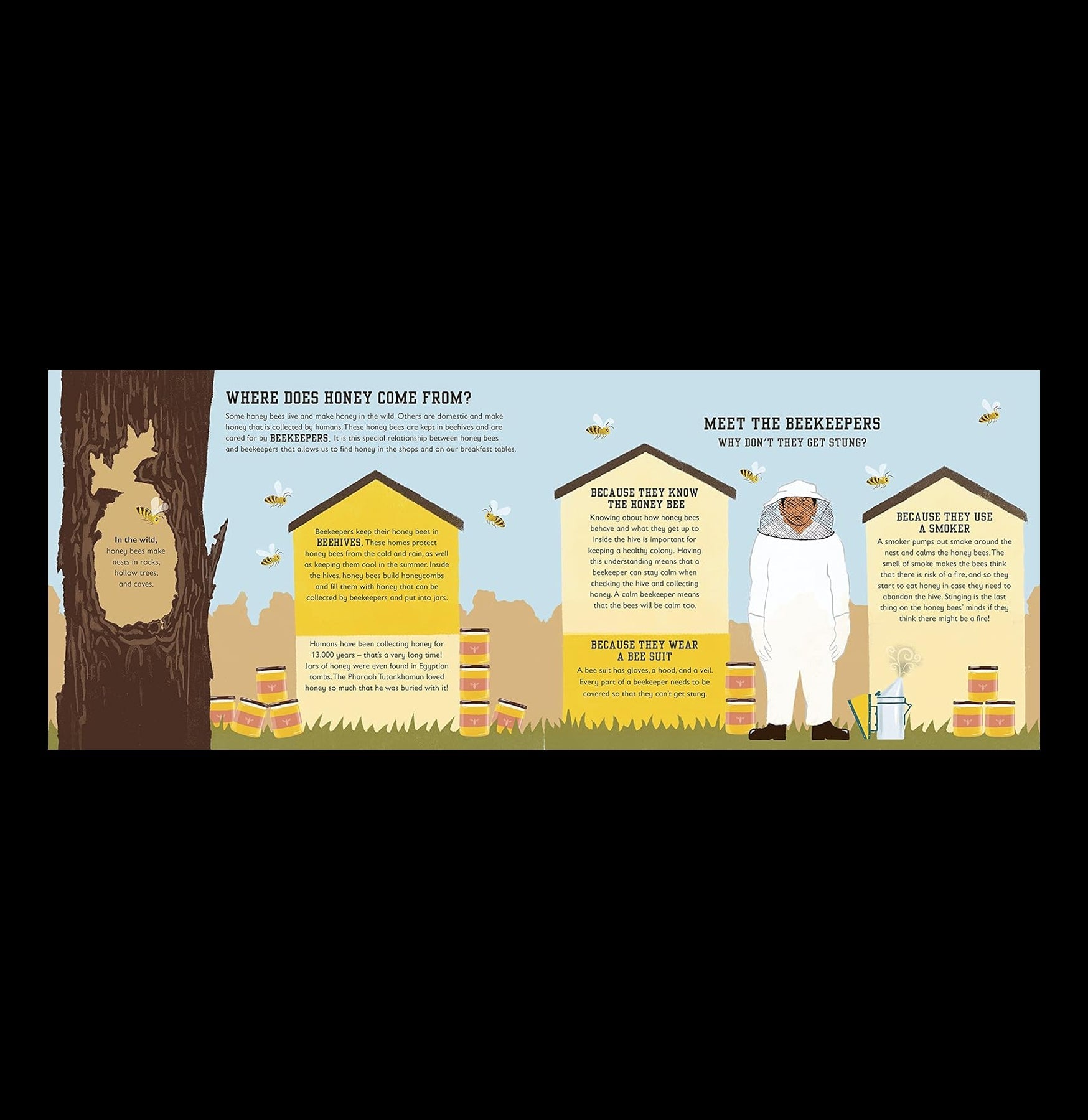 The Bee Book: Conservation Guide for Kids - Learn About Bees, Pollination & How to Protect Them | Perfect for Classroom, Homeschool & Nature Lovers