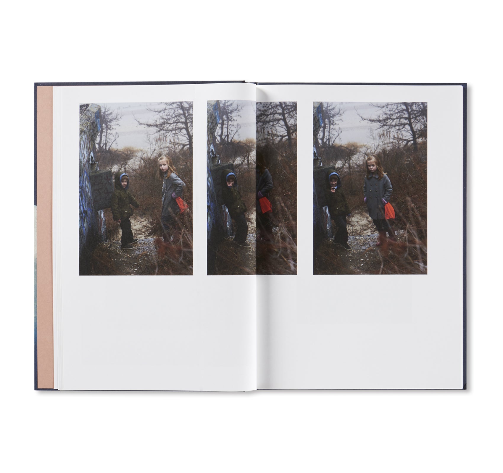 NEIGHBORS by Roe Ethridge - Contemporary Art Photography Book for Collectors & Enthusiasts - Perfect for Home Decor, Gallery Displays & Art Lovers
