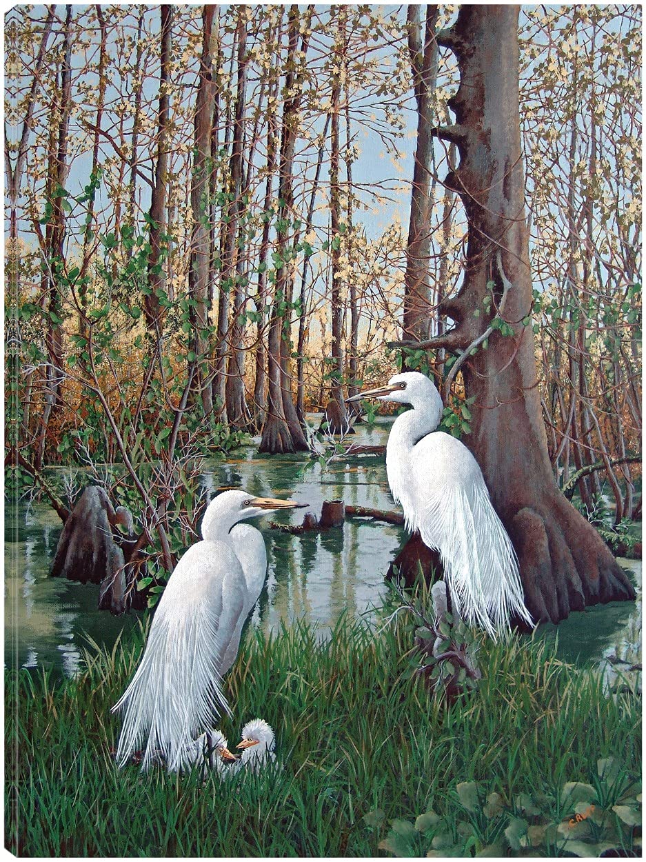 Snowy White Egret Nesting Fine Art Canvas Wall Decor by Artist Carol J Rupp - 32x43 Inch Ready to Hang Painting for Living Room, Bedroom, Office - Perfect for Nature-Inspired Home & Office Decor