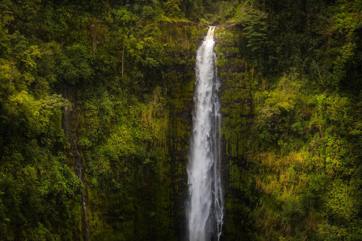 Stunning Akaka Falls Hawaii Landscape Canvas Print - Premium Gallery Wrap Wall Art for Home & Office Decor - Perfect for Living Room, Bedroom, or Office Spaces