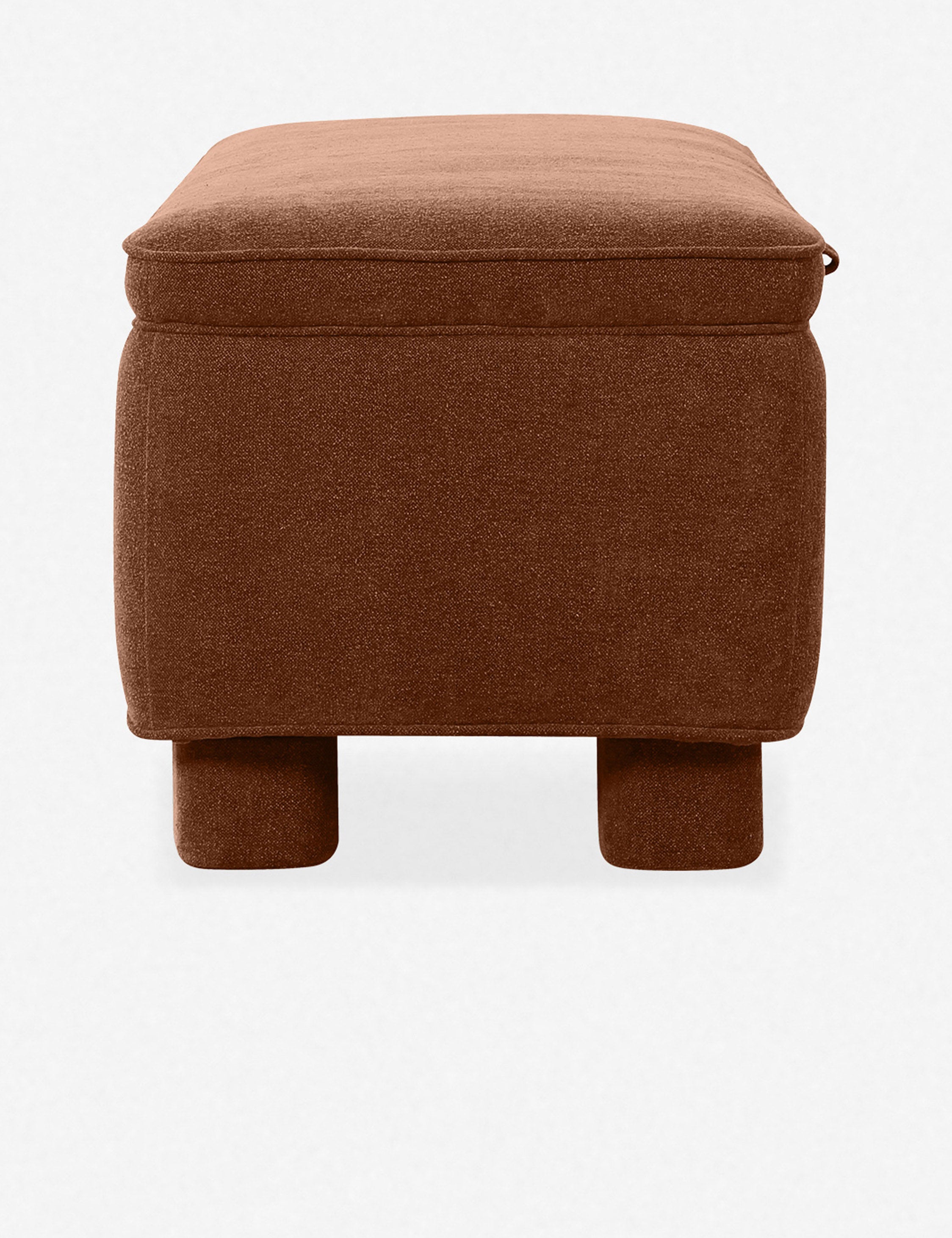 Asner Storage Bench - Foldable Entryway Bench with Cushion, Shoe Storage Ottoman for Living Room, Bedroom, Entryway - Perfect for Small Spaces & Home Organization