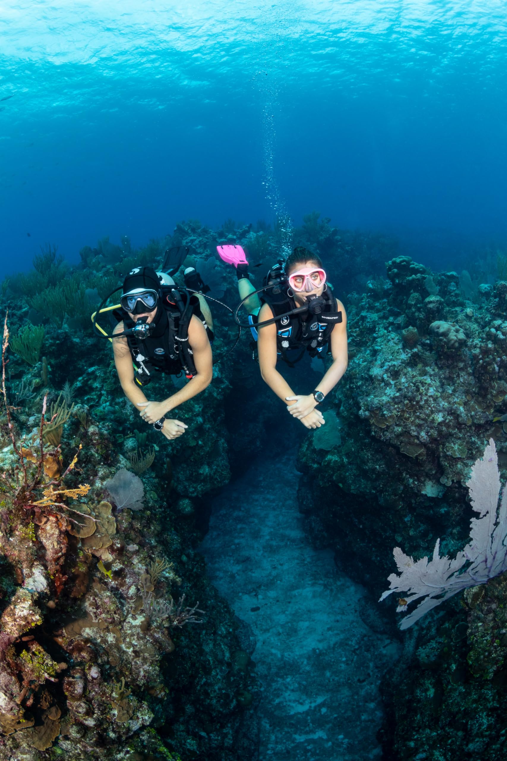 SCUBAPRO Go Diving BCD with Quick Cinch System - Premium Buoyancy Control Device for Scuba Diving | Perfect for Recreational & Professional Divers | Ocean, Pool & Open Water Adventures