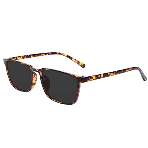 Tortoise/Polarized