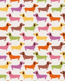 Colorful Dachshund Dog Cute Animal Pattern