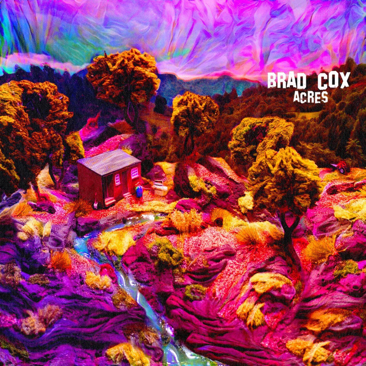 Brad Acres CD by CD Cox - Country Music Album for Relaxation & Road Trips