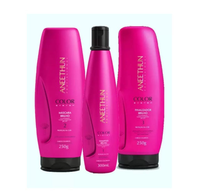 Aneethun Color System Hair Protection & Maintenance Treatment Kit - 3-Piece Set for Color-Treated Hair | Salon-Quality Care at Home for Vibrant, Healthy Locks