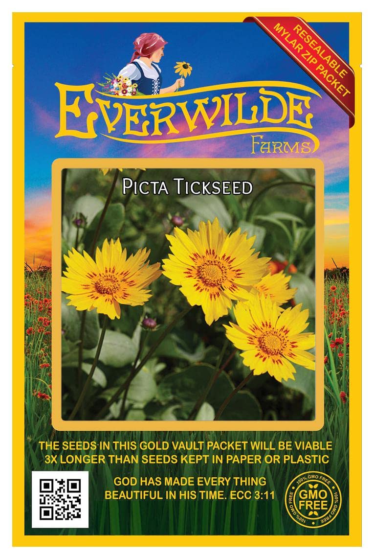 Everwilde Farms - 500 Picta Tickseed Native Wildflower Seeds - Gold Vault Jumbo Seed Packet for Pollinator Gardens & Landscaping