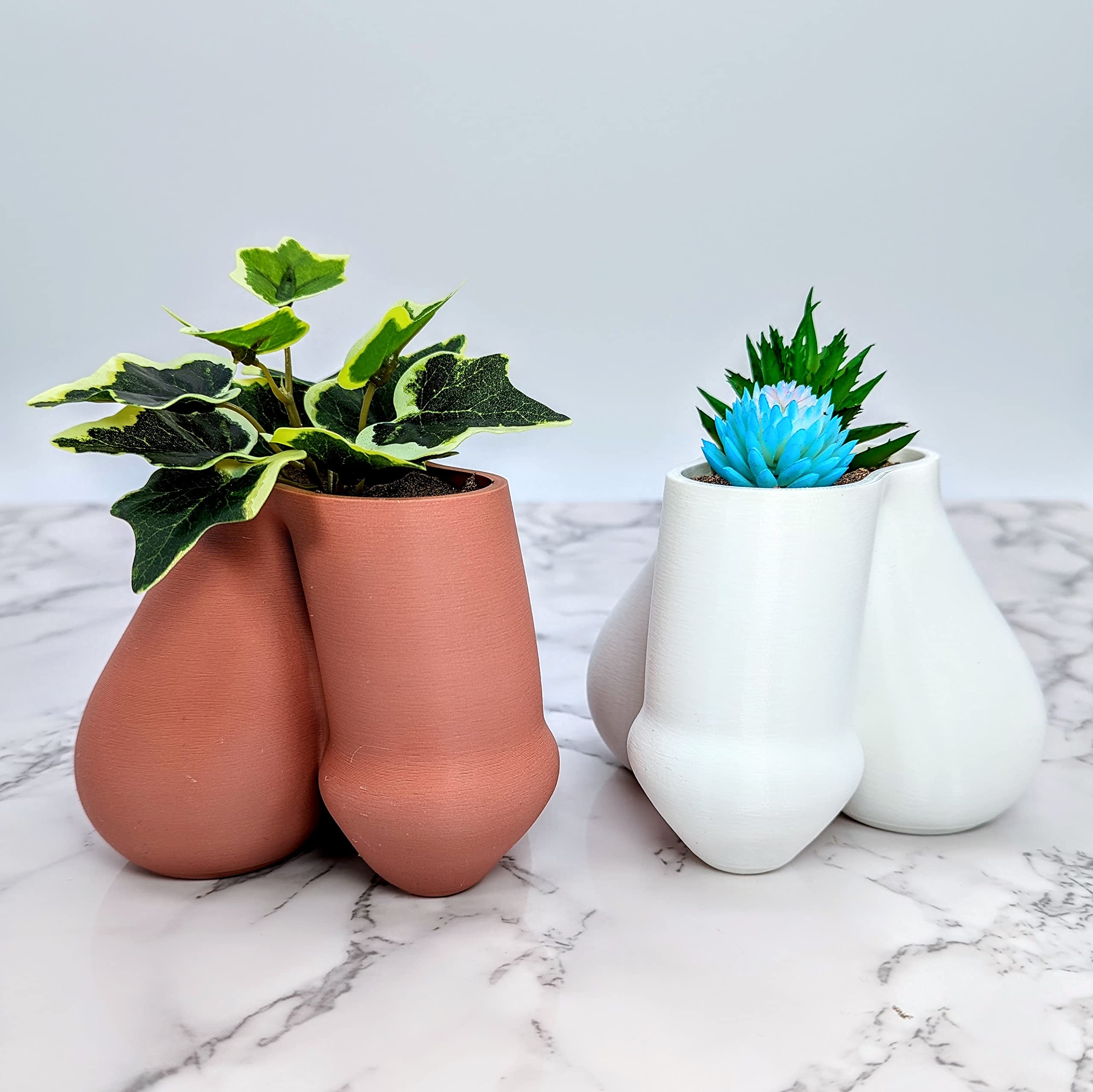 Succulent Penis Planter Pot - Male Body Shaped Plant Pots - Unique Anatomy Home Decor - White Balls Planter for Succulents & Small Plants | Perfect for Home Office, Garden Decor & Funny Gifts