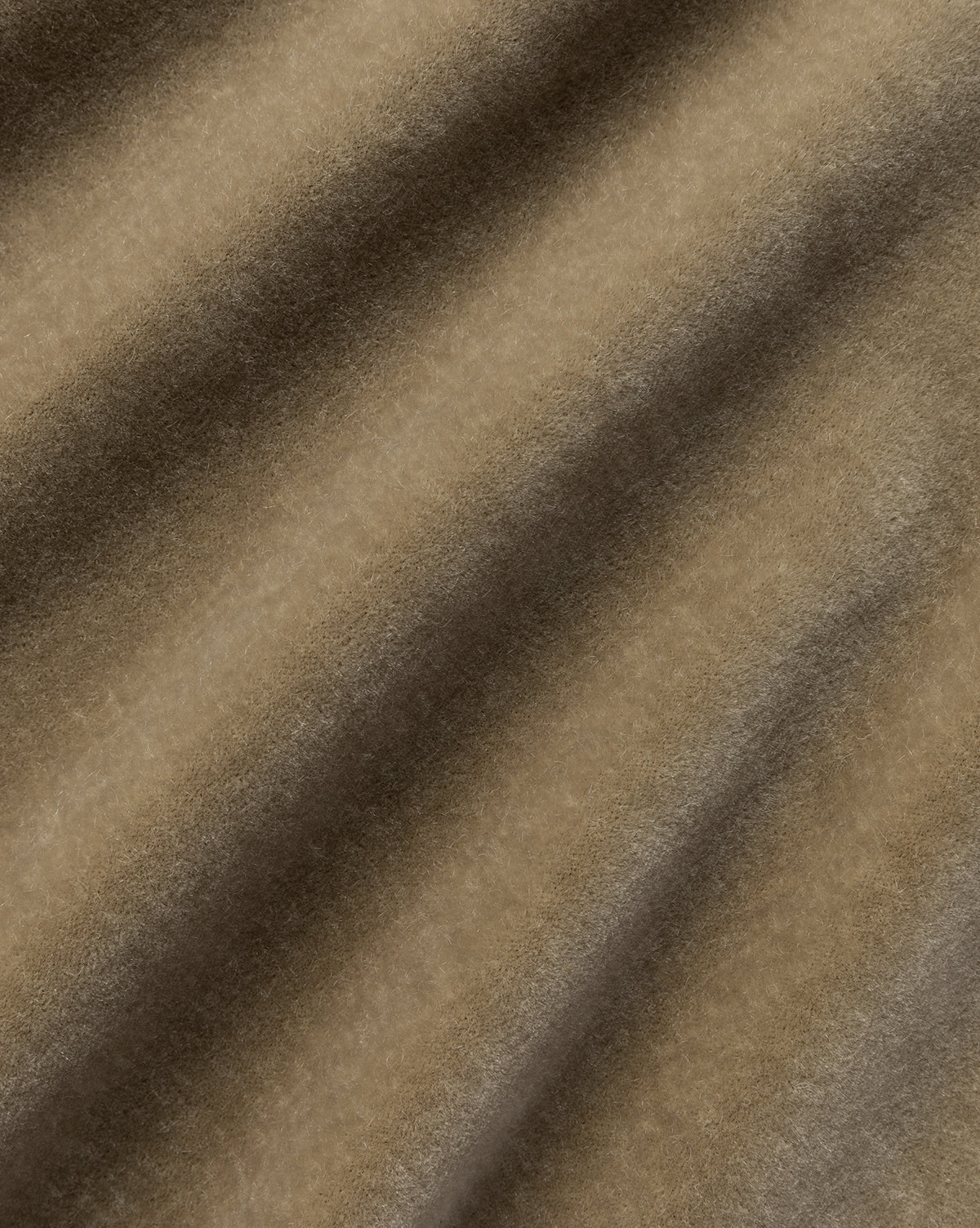 Ecru Velvet