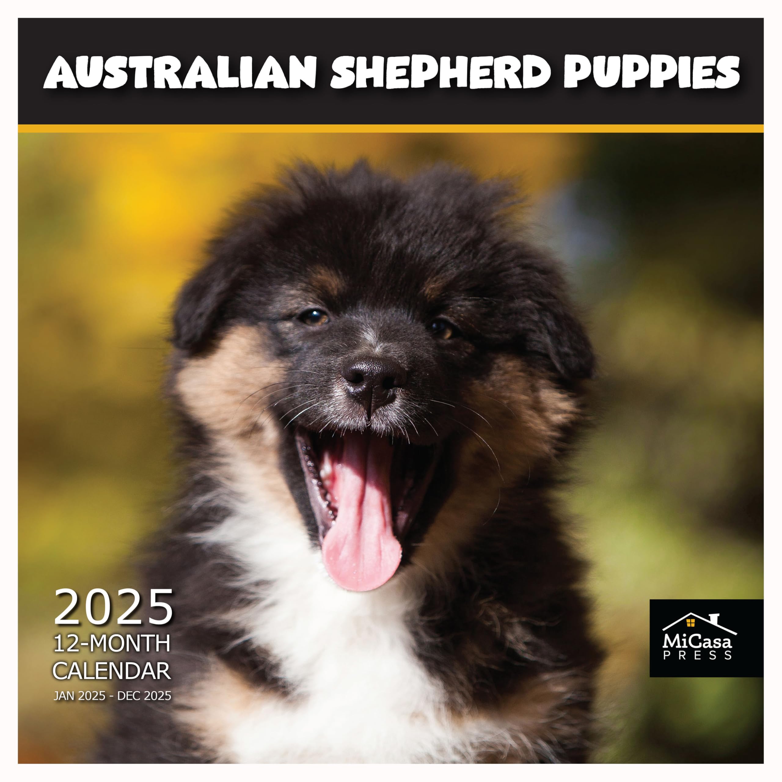 MICASA PRESS - 2025 Australian Shepherd Puppies Wall Calendar | 12