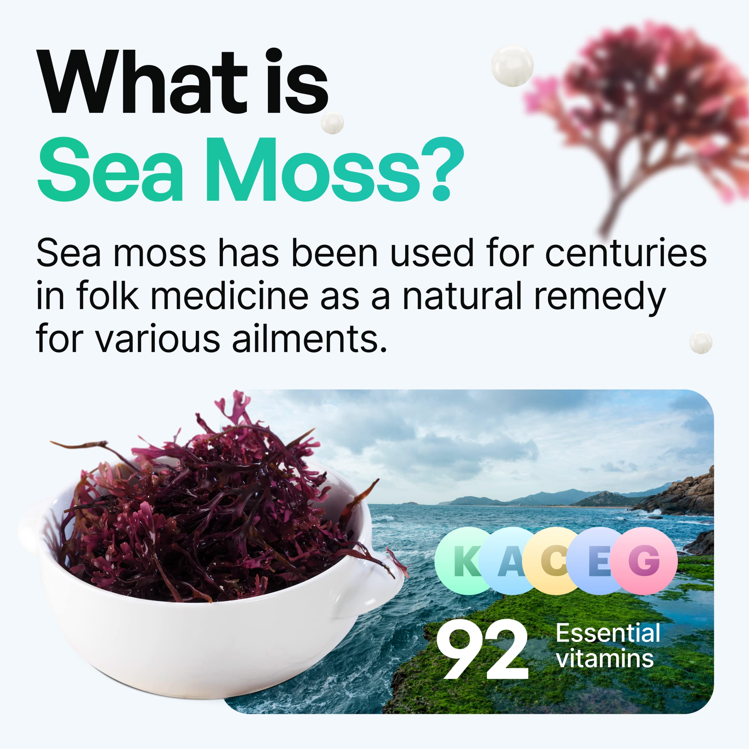 Organic Irish Sea Moss Pills - Wildcrafted Dr. Sebi Inspired Seamoss Blend with Turmeric, Burdock Root & Bladderwrack - Enhanced with Black Pepper for Better Absorption - 60 Vegan Capsules - Supports Immune System, Digestion & Energy - Perfect for Daily Wellness Routine