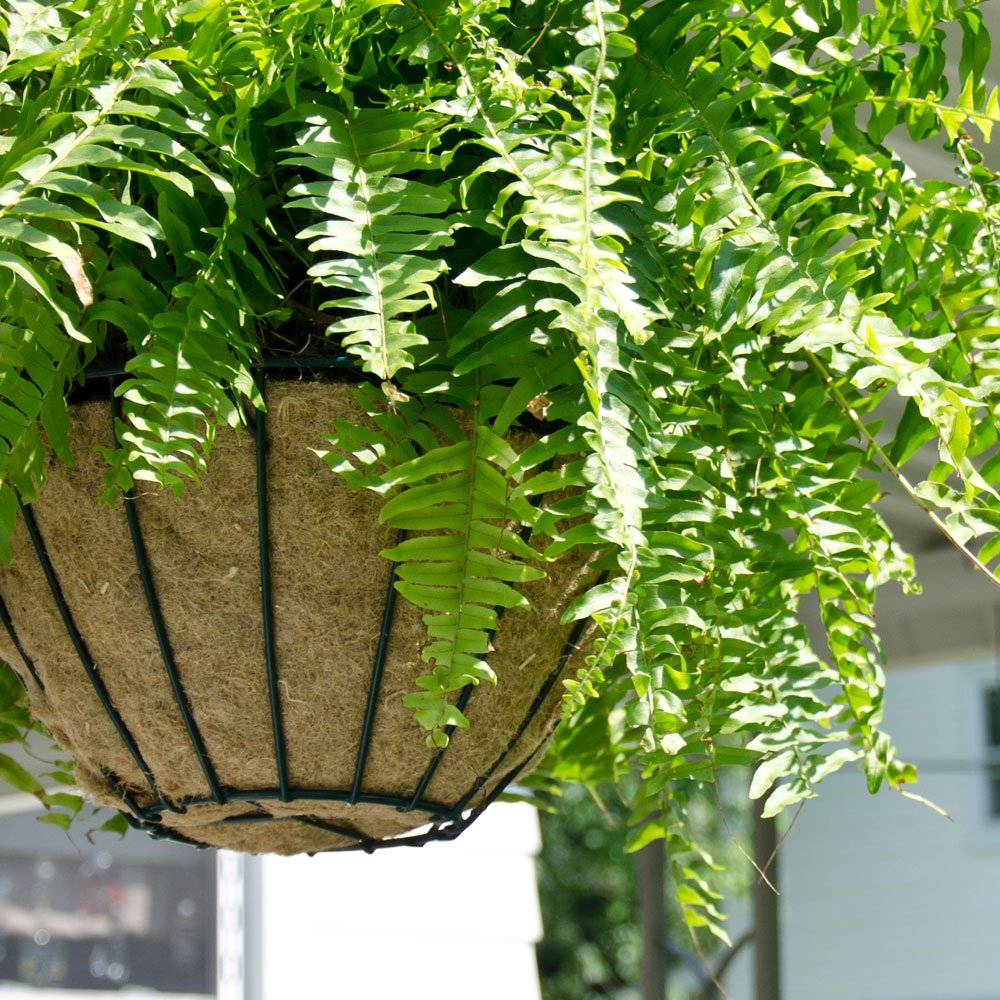 MagniMoist Basket Liner 12-14 Inch - Perfect for Home & Garden Decor