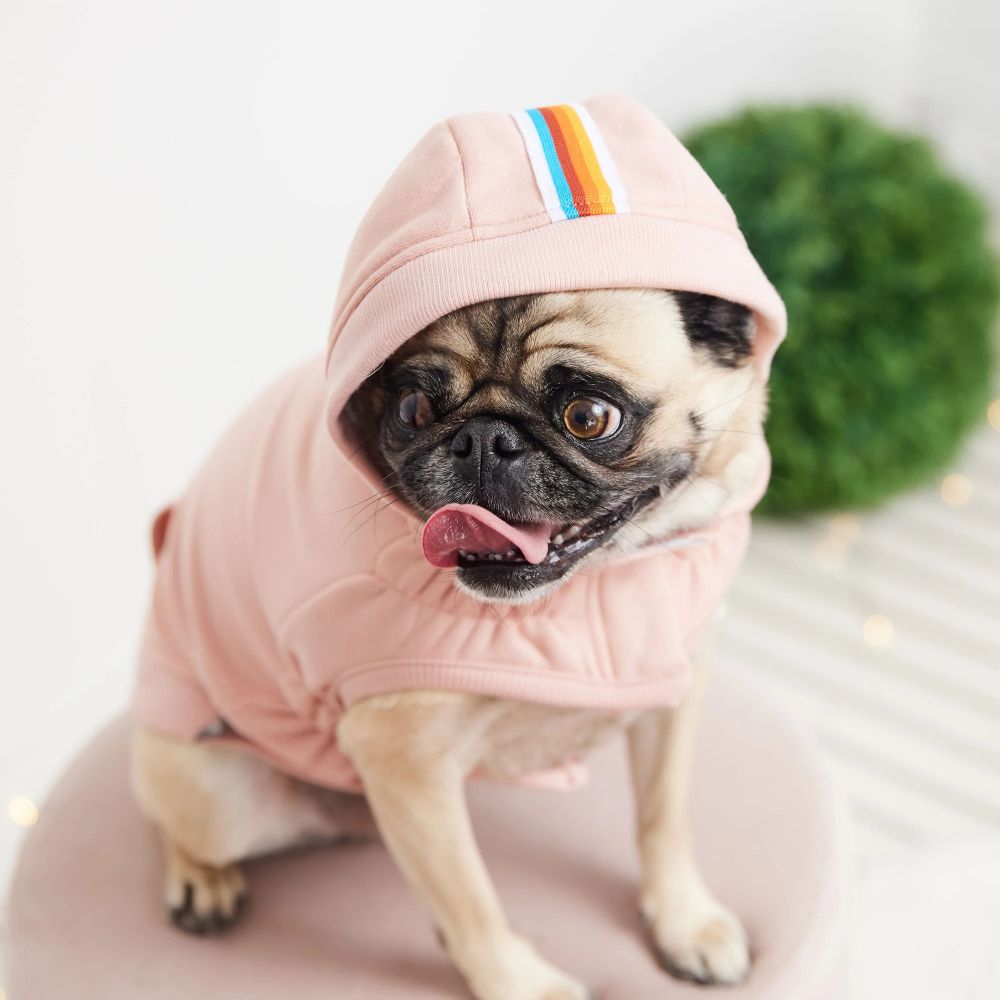 Elasto Fit Urban Hoodie for Women - Soft Pink Pullover Hooded Sweatshirt for Casual Wear & Street Style Fashion