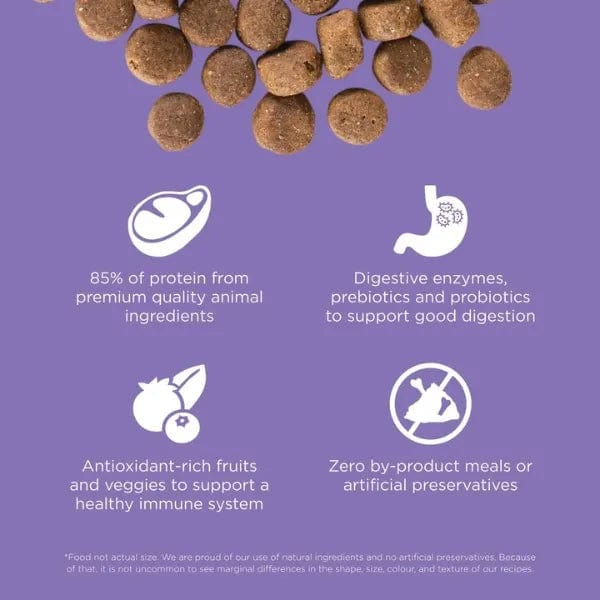 Go! Solutions Carnivore Grain-Free Senior Dry Dog Food with Chicken, Turkey & Duck - High-Protein Recipe for Senior Dogs, Perfect for Joint Health & Digestion Support