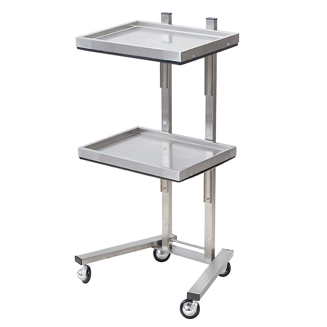 Kaleurrier Rolling Tool Cart with Double Storage Tray - Stainless Steel Utility Trolley with Wheels for Salon, Tattoo, Spa, Clinic & Home Use | Portable Beauty & Medical Instrument Stand (Silver) | Perfect for Organizing Tools in Professional Studios or Home Workspaces