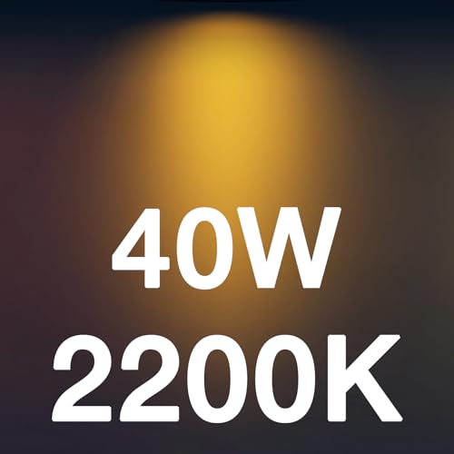 40w Warm White