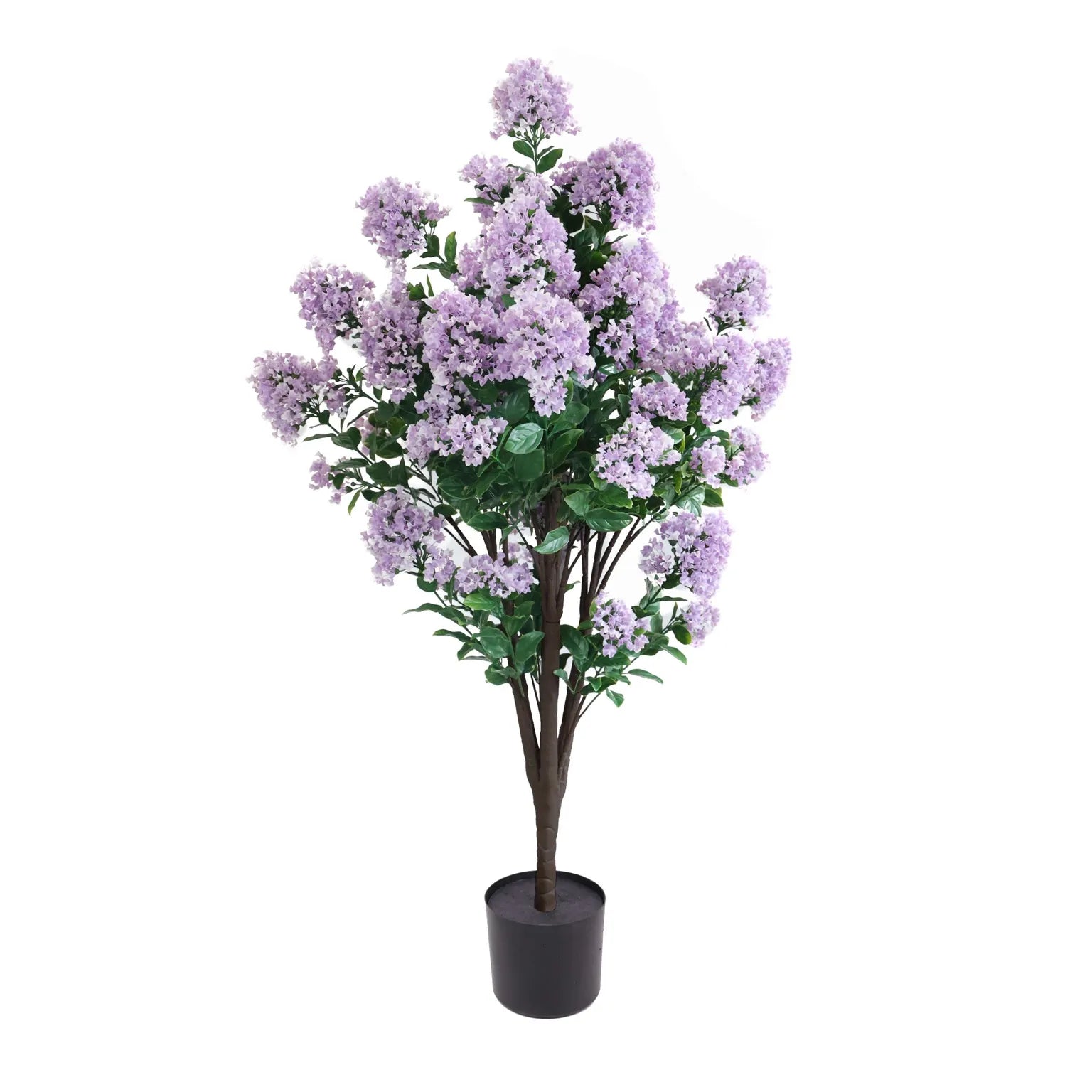 Lilac Crepe Myrtle Tree - 47