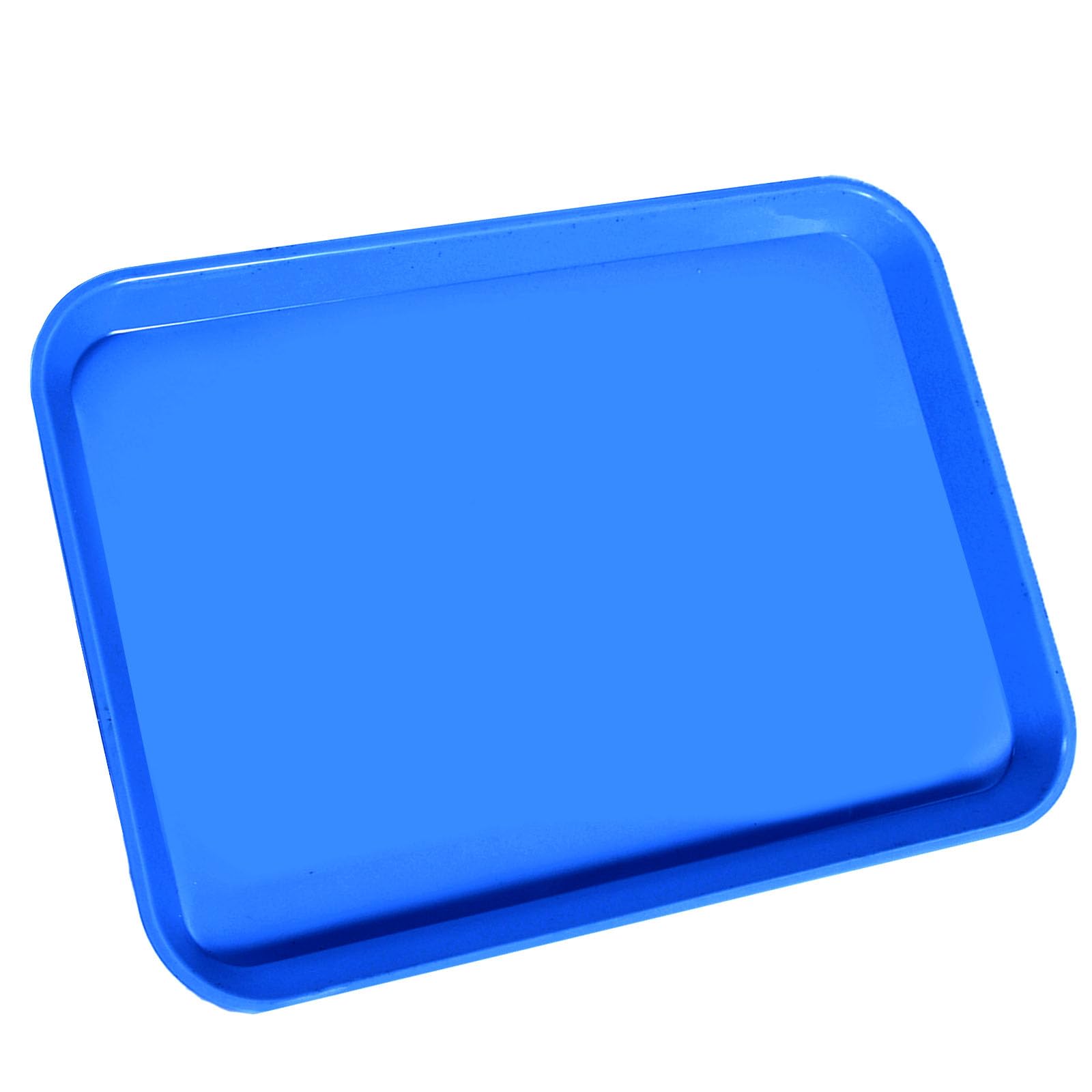 1Pcs Autoclavable Dental Procedure Tray Lockable Set - B-Lok Flat Trays Size B (Ritter), 13.25 x 9.75 x 0.875 Inches, Plastic Instrument Tray - Electric Blue - Perfect for Dental Clinics, Hospitals & Sterilization Procedures