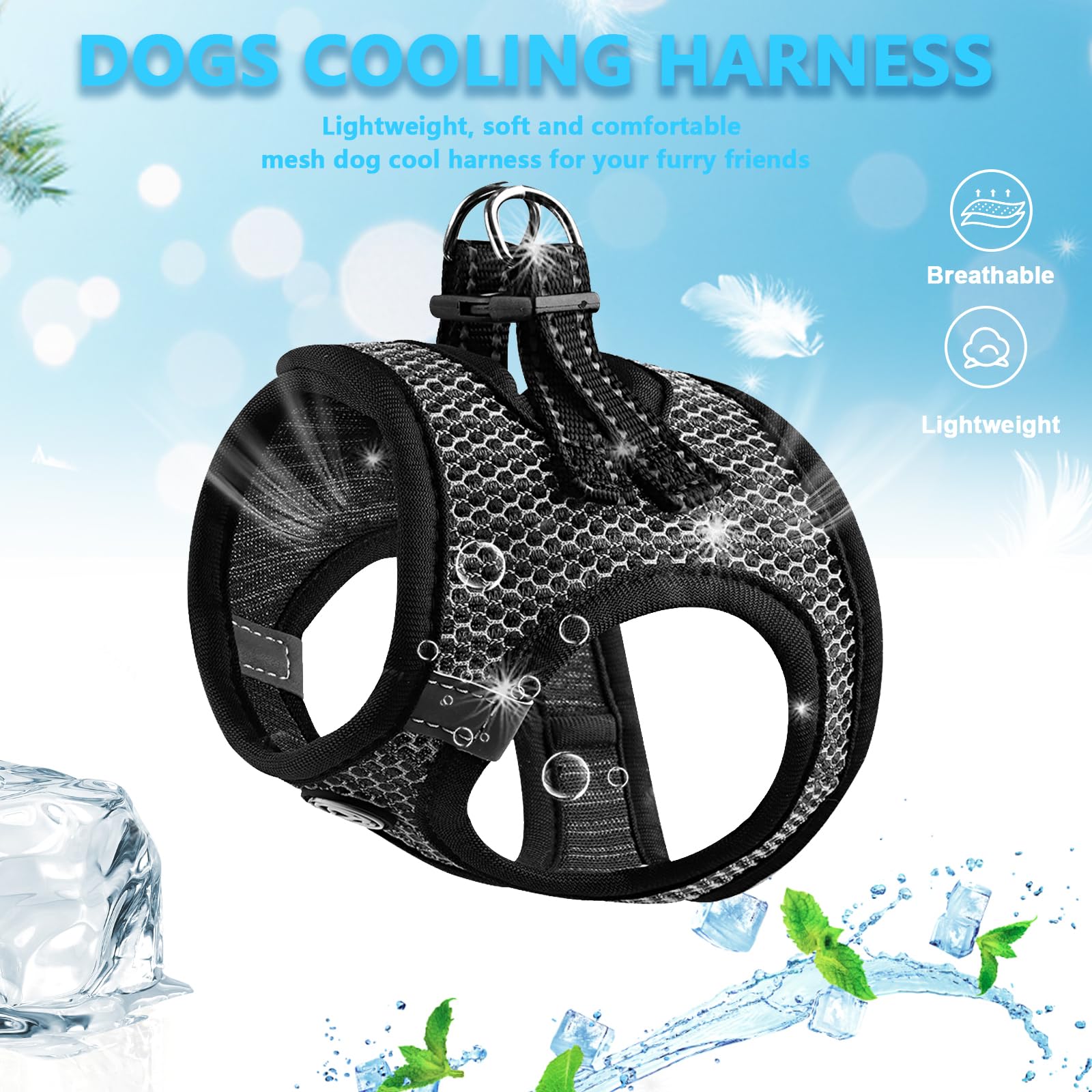 Premium Cat & Small Dog Harness - Adjustable XS Pet Harness for Puppies, Chihuahuas & Tiny Breeds - Comfortable Escape-Proof Design (Black, X-Small) - Perfect for Walking, Hiking & Outdoor Adventures
