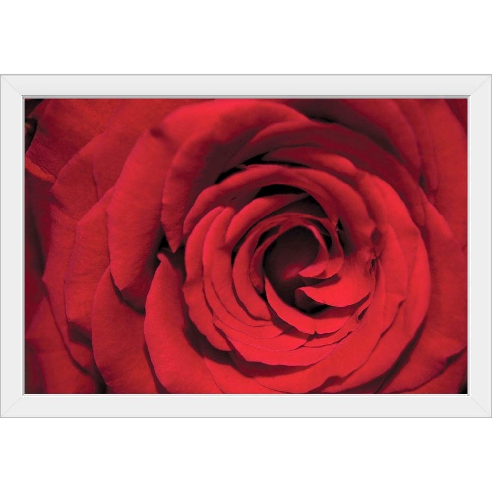 Red Rose Detail White Framed Art Print - Elegant Floral Wall Decor for Living Room, Bedroom & Office