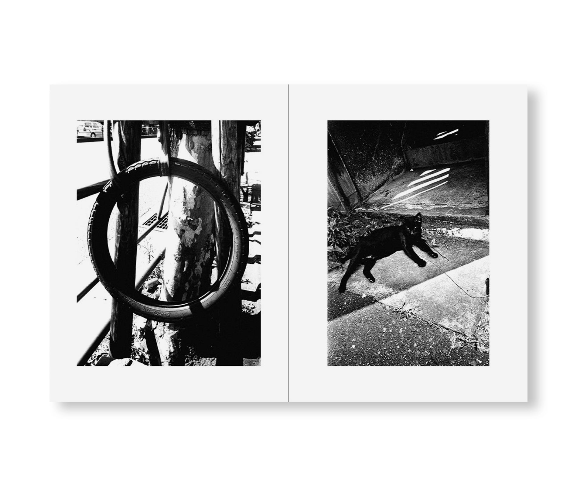LOS ANGELES X SHINJUKU by Avo Tavitian & Daido Moriyama - Urban Photography Art Book for Street Culture Enthusiasts | Perfect for Home Decor, Coffee Table Display, and Photography Inspiration
