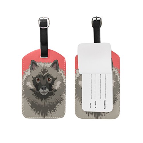 Dog-15