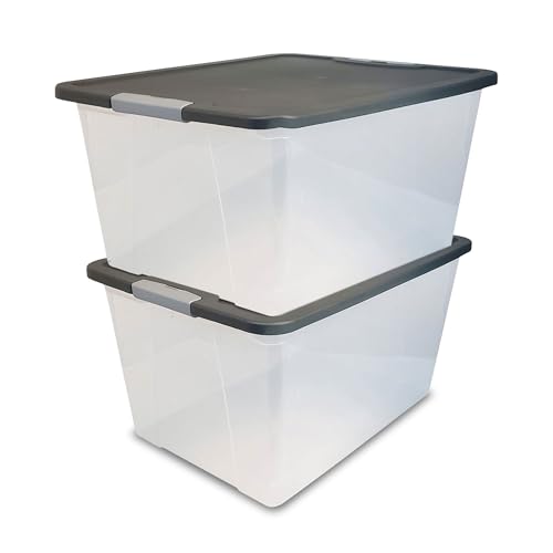 Gray Lid