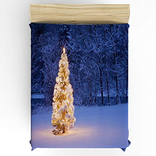 Christmasssr0468