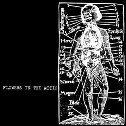 Flowers in the Attic - Original Explicit Lyrics Version | Gothic Romance Novel | Perfect for Book Clubs & Dark Fiction Lovers