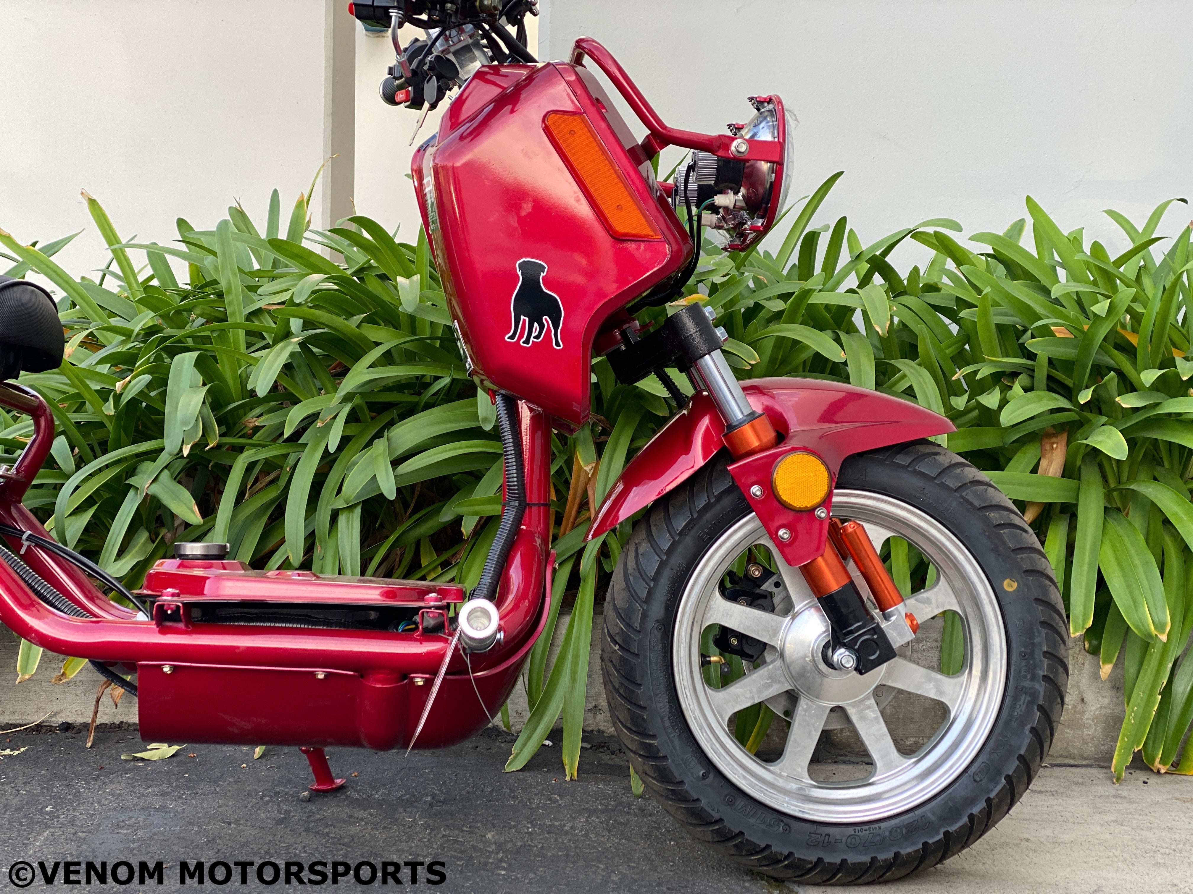 50cc Maddog Scooter Generation 4 - Automatic Transmission Gas Powered Moped for Adults - Perfect for Urban Commuting & Short Distance Travel