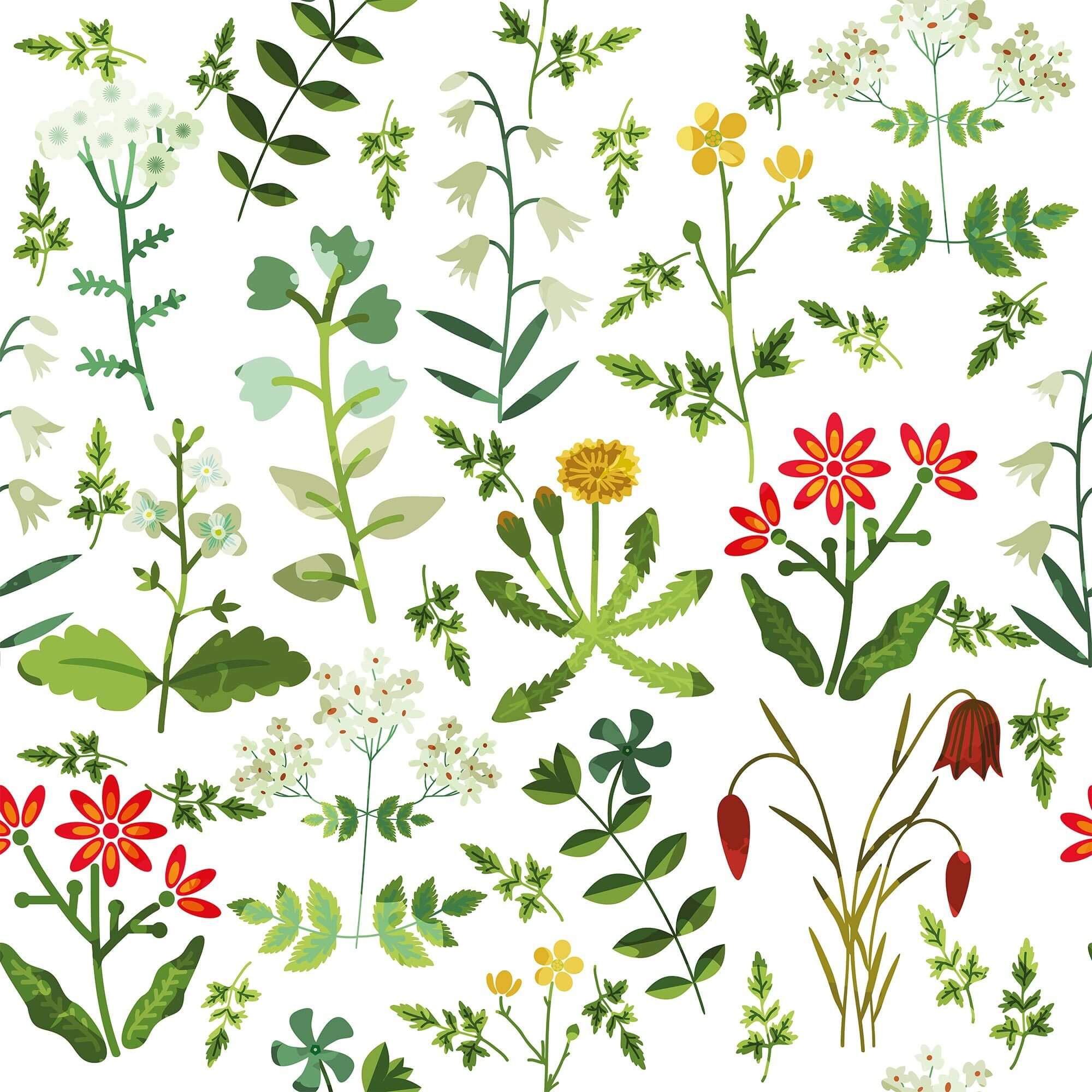 White Botanical Floral Peel and Stick Removable Wallpaper - Self-Adhesive Decorative Wall Covering for Bedroom, Living Room & Home Office