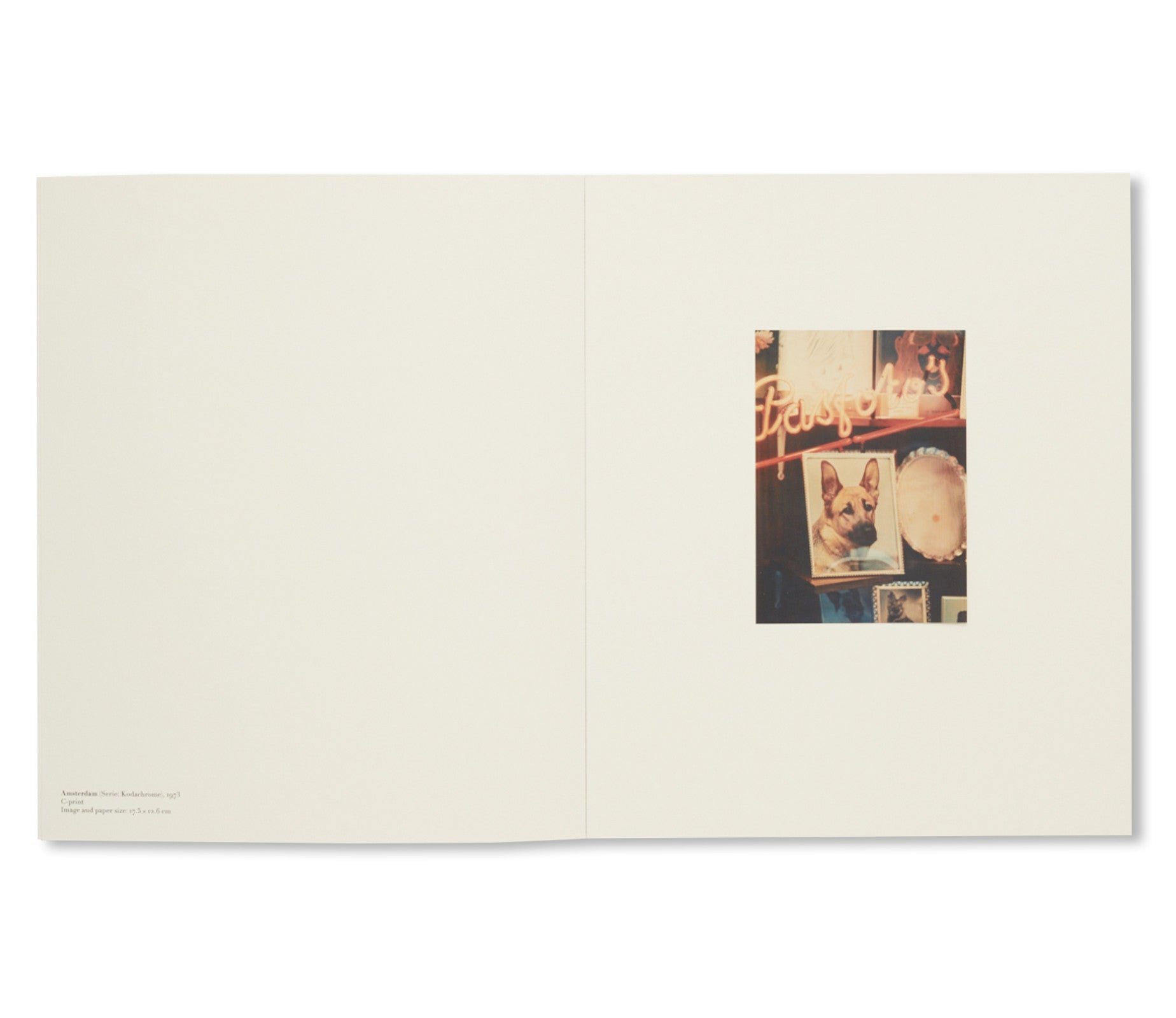 LUIGI GHIRRI Photography Book by Luigi Ghirri - Art Monograph for Photography Enthusiasts & Collectors | Perfect for Coffee Table Display, Art Study, and Gift Giving