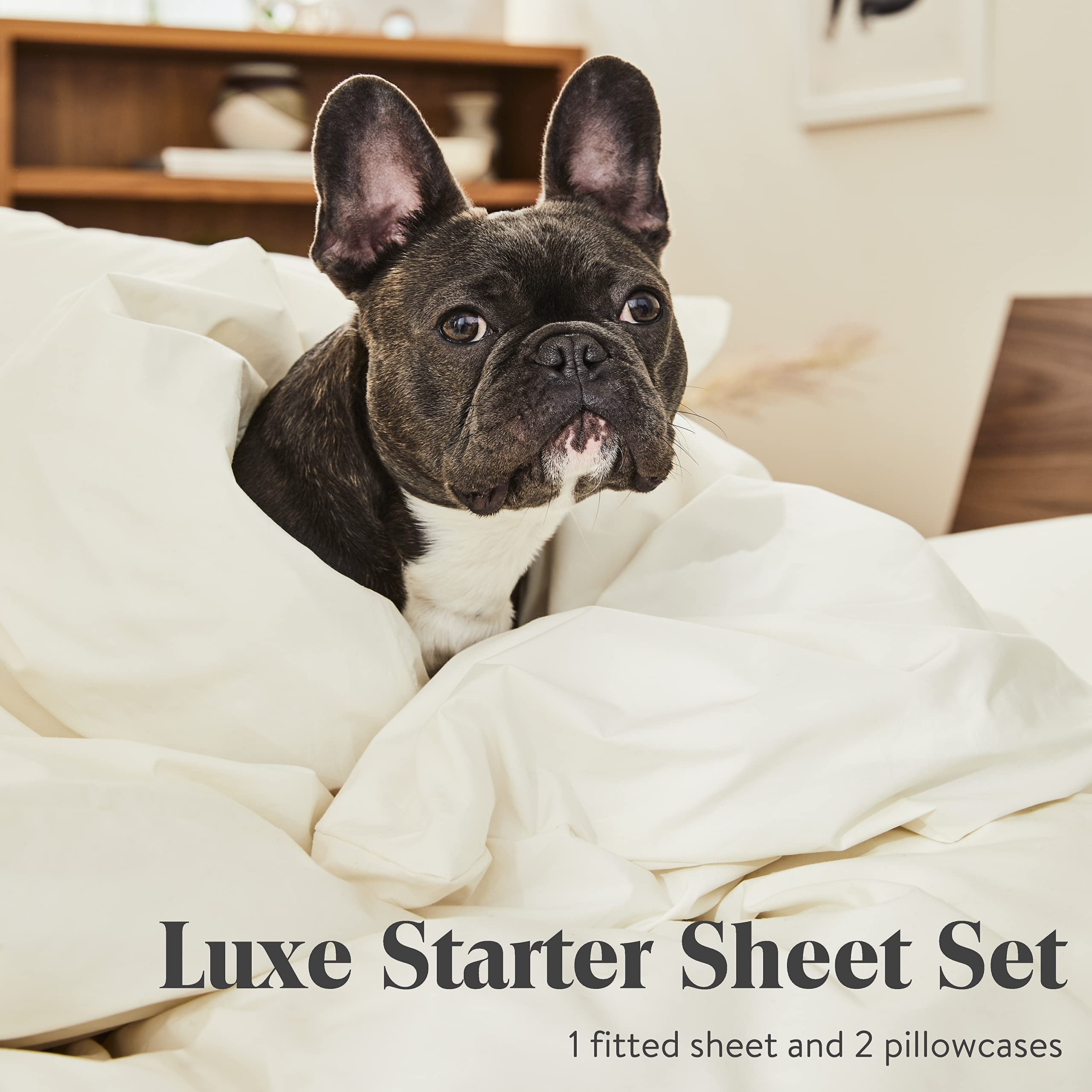 Brooklinen Luxury Sateen 3-Piece Sheet Set - 100% Cotton Queen Size Bed Sheets (1 Fitted Sheet + 2 Pillowcases) in Cream - Ultra Soft & Breathable for All-Season Comfort - Perfect for Master Bedrooms, Guest Rooms & Luxury Hotels