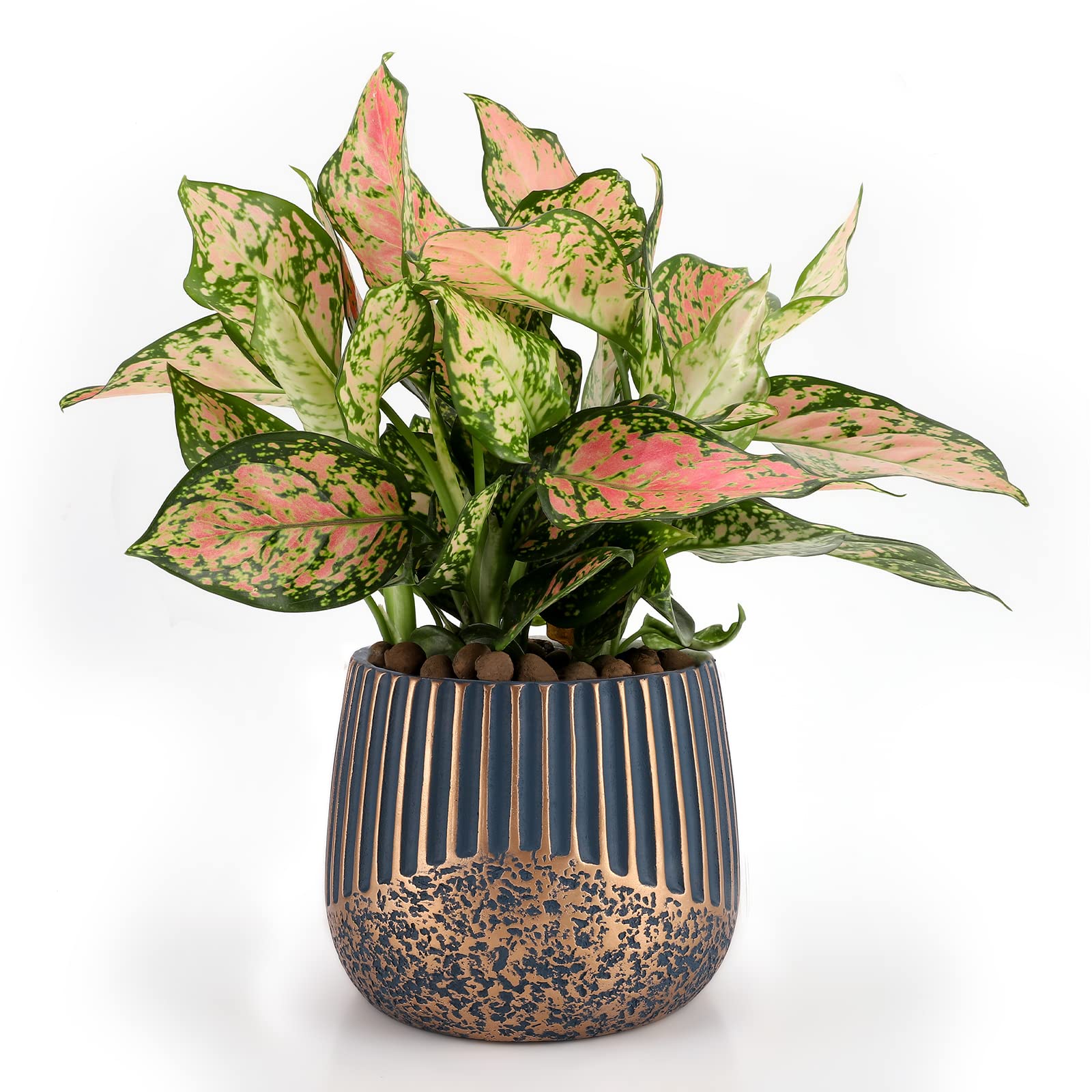 Faxinny 6.3-Inch Cement Planter with Drainage Hole - Modern Concrete Indoor Flower Pot for House Plants, Succulents, Snake Plants | Gold & Blue Decorative Planters for Home, Office & Garden Decor