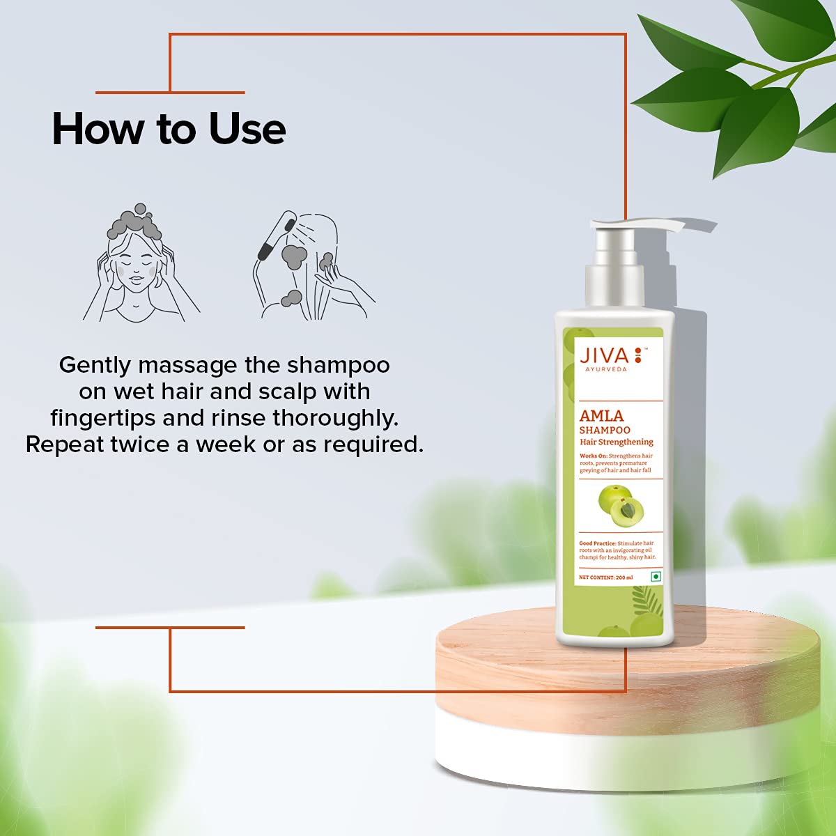 Jiva Amla Shampoo 200ml (Pack of 2) - 100% Pure & Natural Hair Care for Scalp Cleansing, Hair Strengthening | Prevents Hair Loss, Dandruff & Premature Graying | Ayurvedic Pitta Dosha Balancing Shampoo | Perfect for Daily Hair Wash & Holistic Hair Treatment