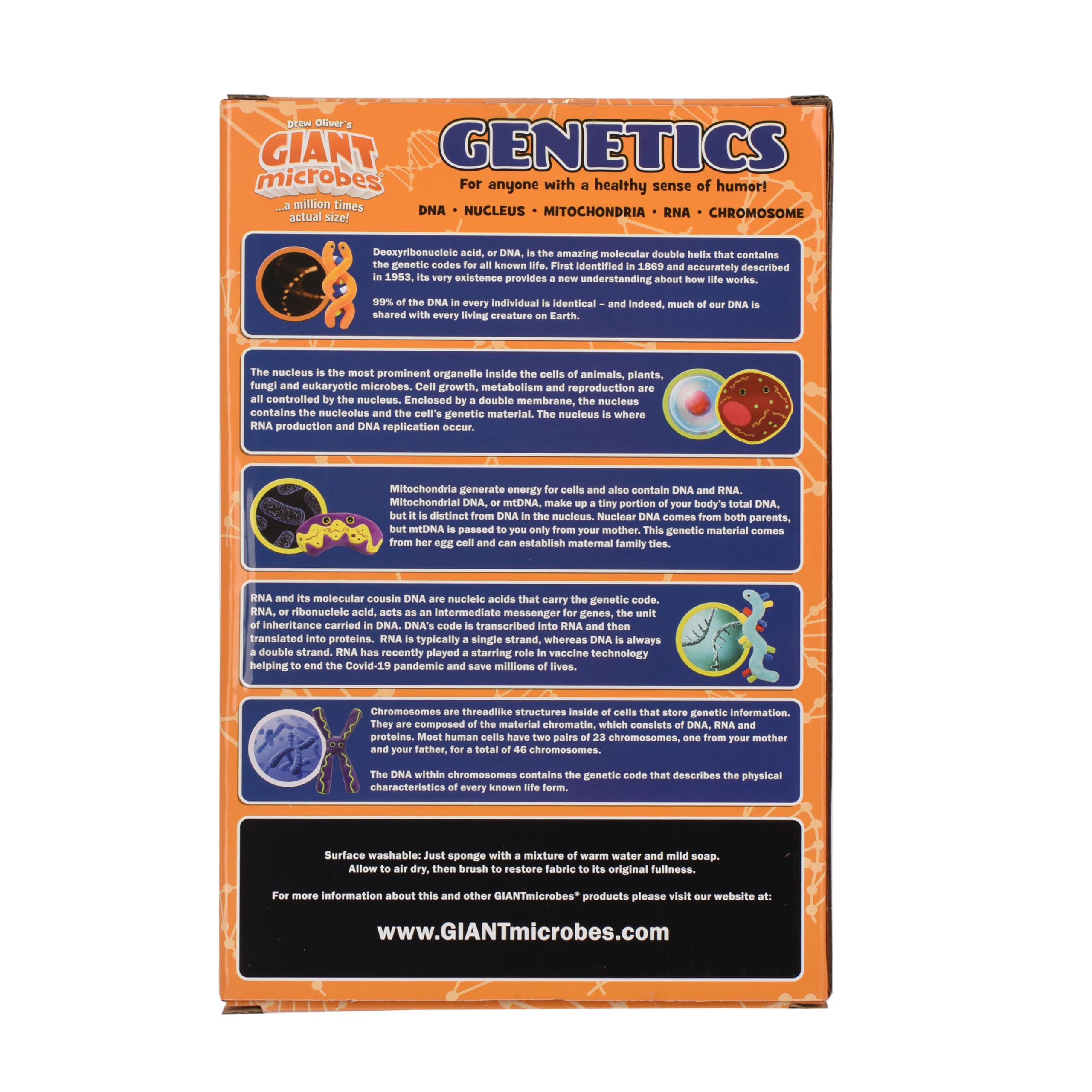 GIANTmicrobes Genetics Themed Gift Box - DNA Plush Keychain & Science-Themed Gifts for Genetic Counselors, Genealogists & Teachers | Perfect for Science Classrooms, DNA Enthusiasts & Ancestry Lovers