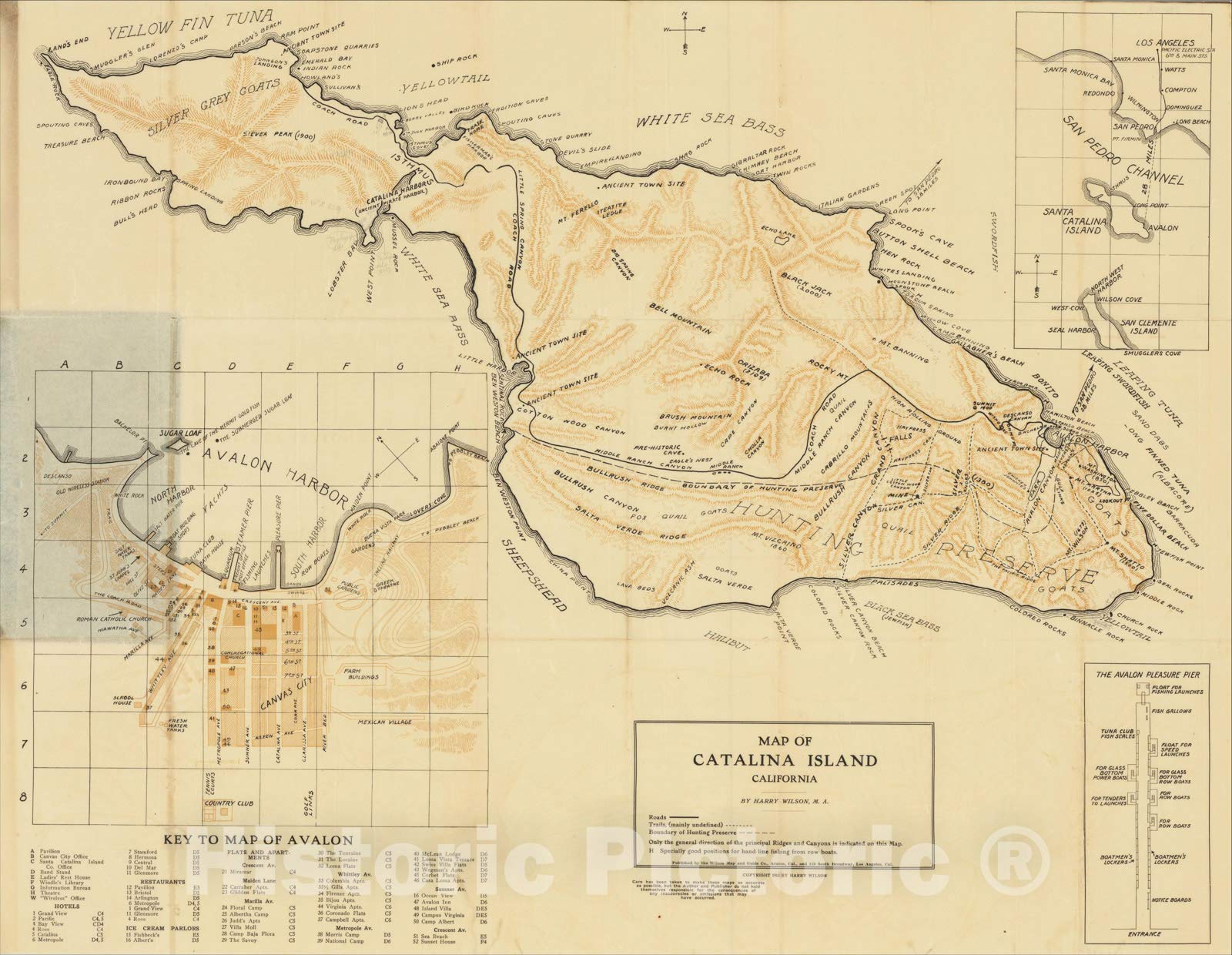 Vintage 1913 Catalina Island California Map - Wilson's Historic Map of Avalon and Catalina Island by Harry Wilson - 57in x 44in Wall Art for Home Decor, Office & Coastal Theme Rooms