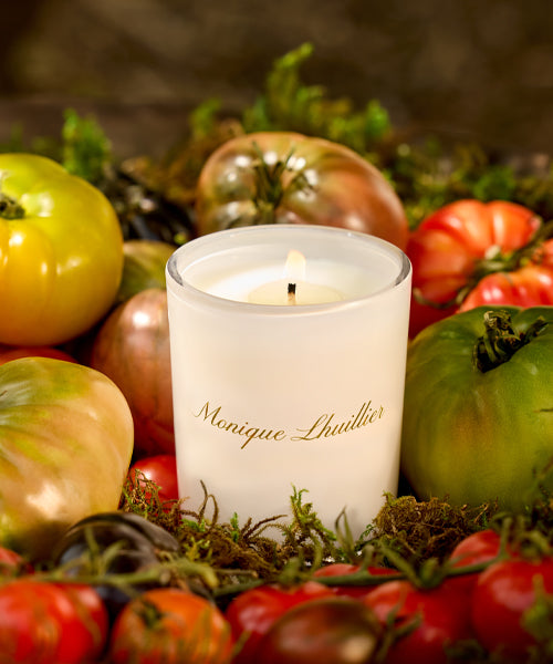Tomato Oakmoss Scented Candle - Aromatherapy Soy Wax Candle for Home, Relaxation & Meditation - Perfect for Living Room, Bedroom & Spa