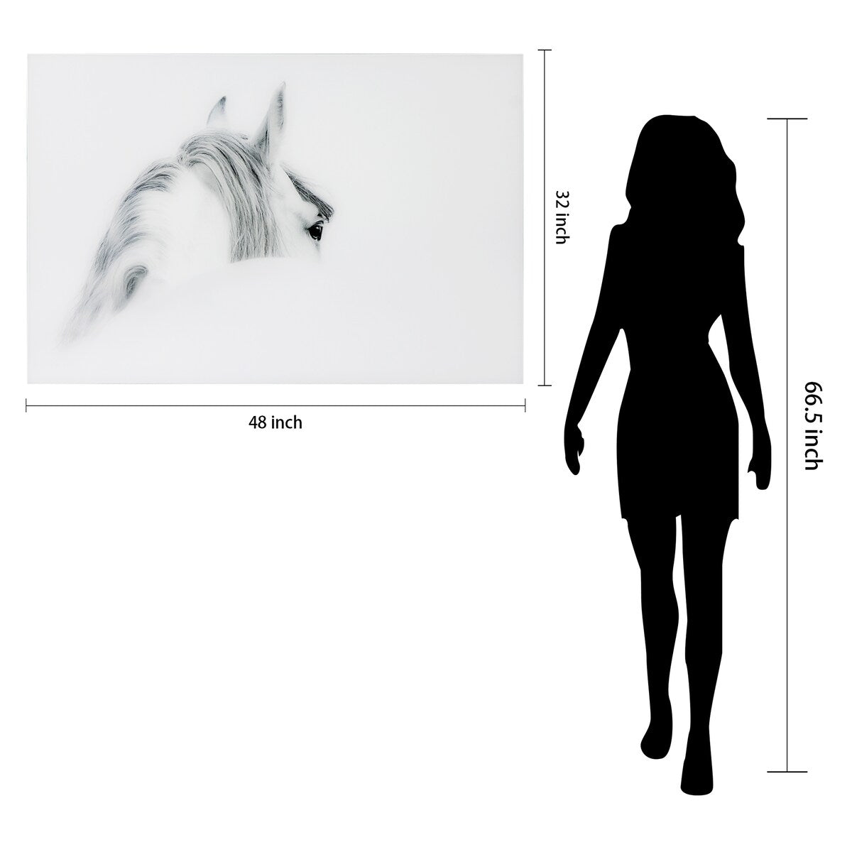 Blanco Mare Horse Frameless Floating Tempered Glass Wall Art - Modern Home & Office Decor for Living Room, Bedroom, Kitchen