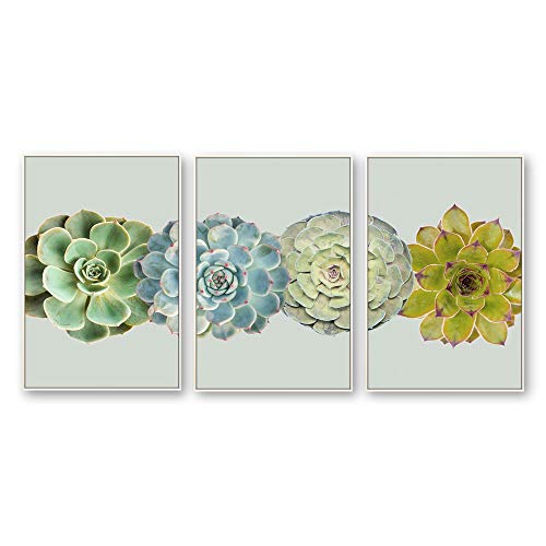 Plants-1909-n18
