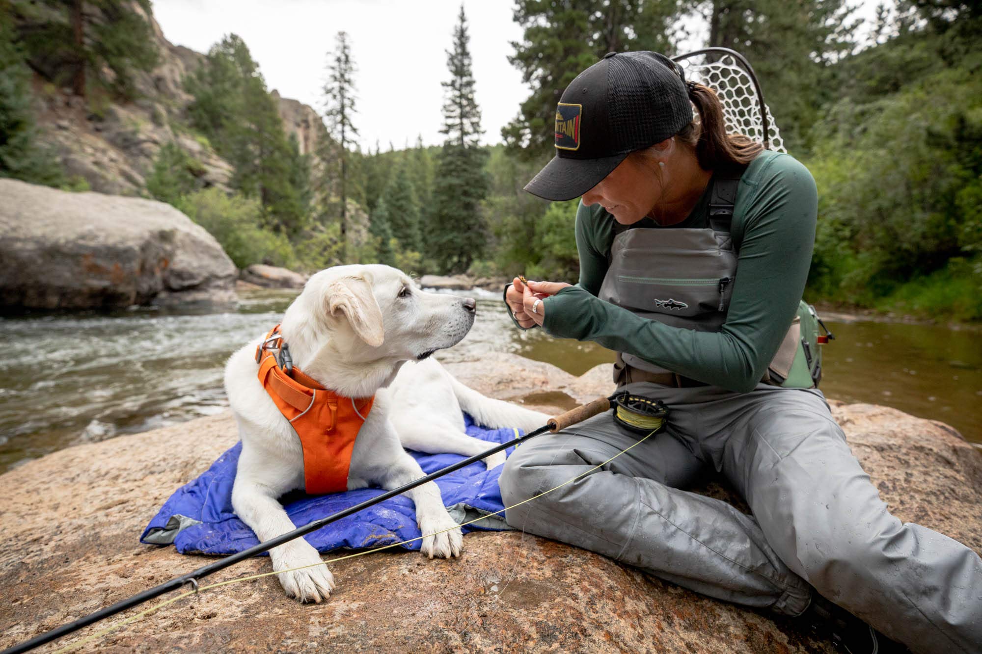 Ruffwear Highlands Dog Sleeping Bag - Water-Resistant Portable Dog Bed for Camping, Hiking & Outdoor Adventures - Cozy Travel Bed for Dogs