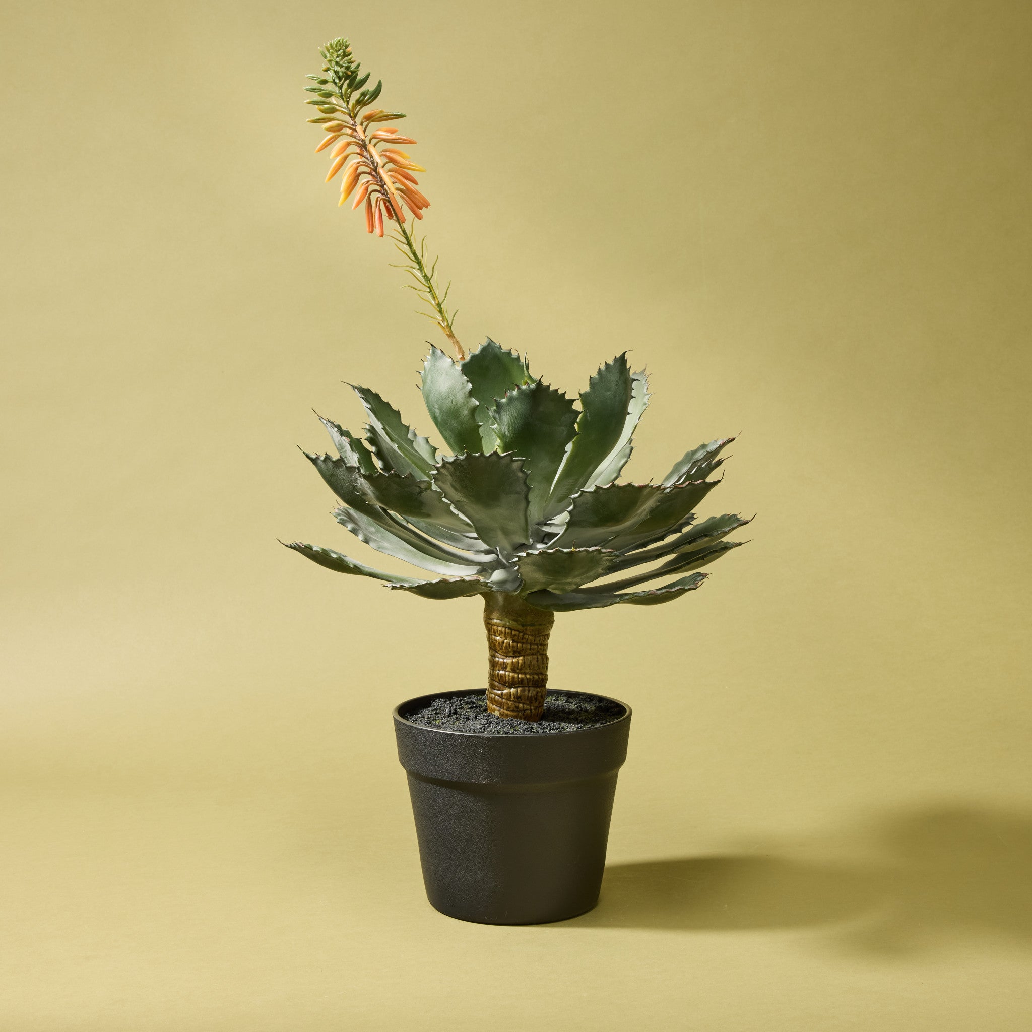 Artificial Echeveria Succulent Plant in Decorative Garden Pot - 24.4 Inches Tall for Home, Office & Outdoor Decor