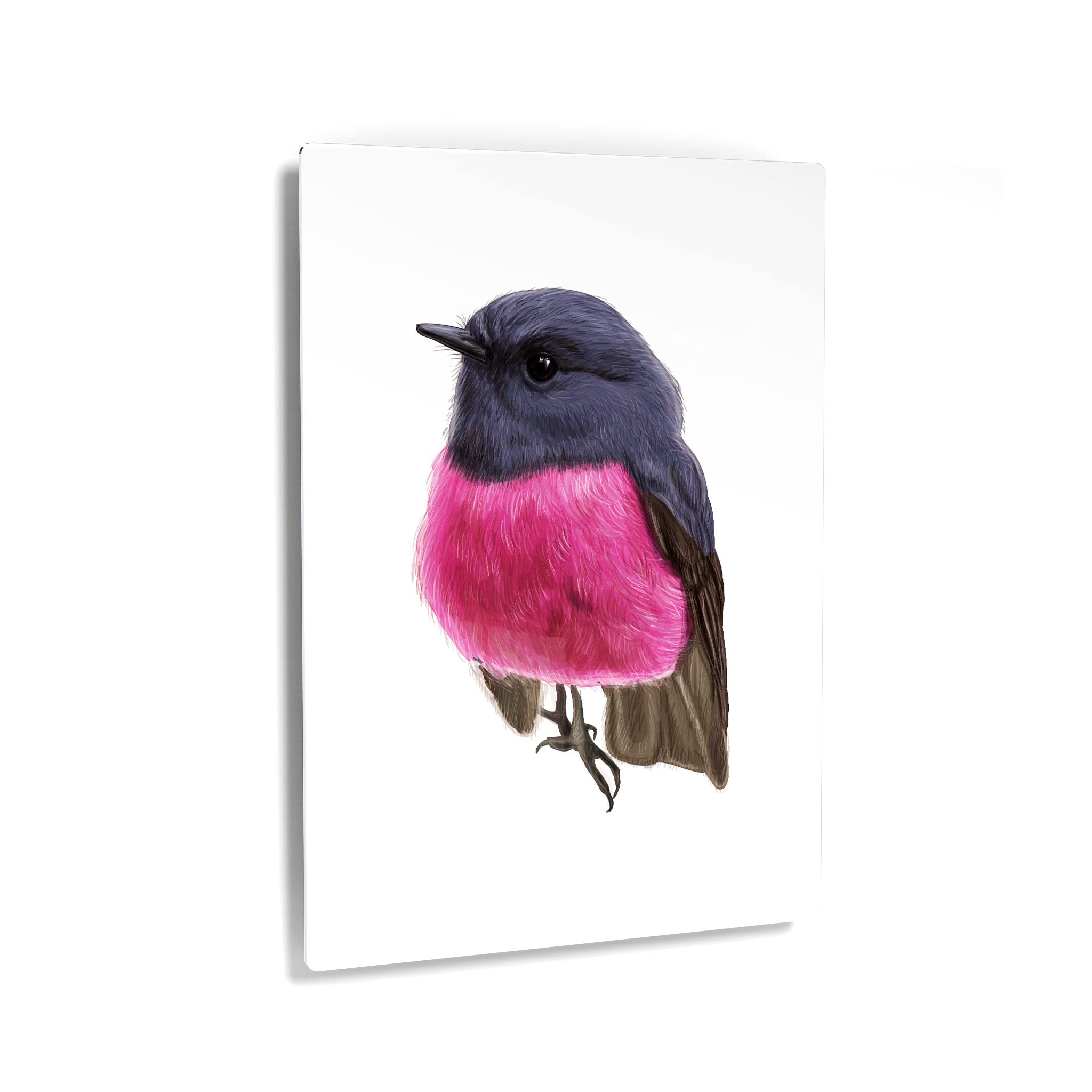 Australian Pink Robin Bird Metal Wall Art Print - Handmade in USA, 24x16 Inch - Perfect for Home, Office, Nursery & Veterinary Decor - Beautiful Animal Illustration Gift for Bird Lovers