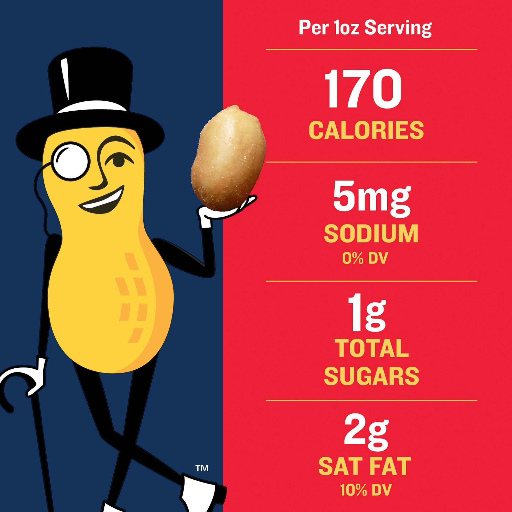 Dry Roasted Lightly Salted PLANTERS Peanuts - 6 Pack (2.2 lb Each) | Healthy Protein Snacks for Adults | Perfect for Office, Hiking & Game Day Parties