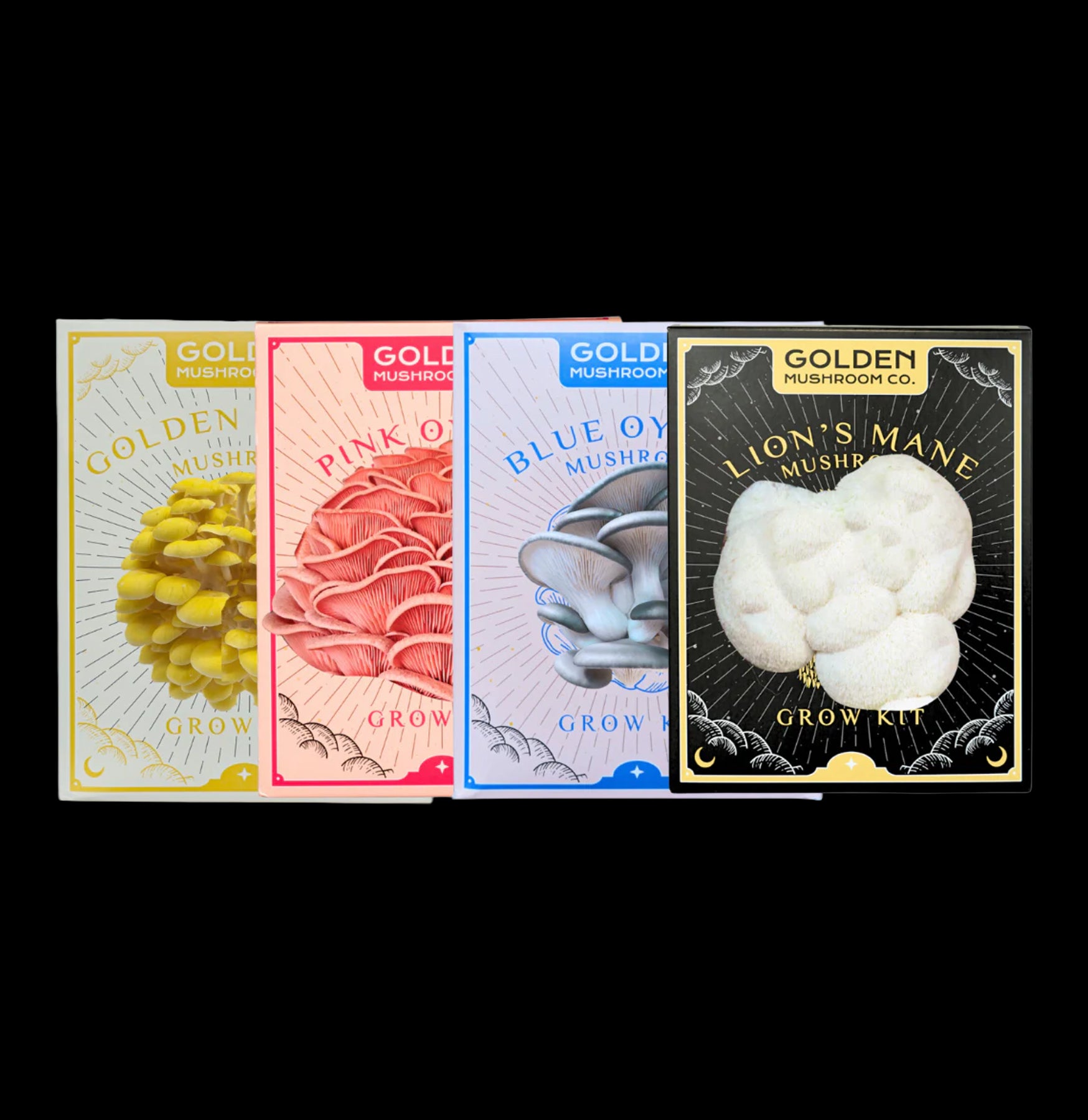 Organic Mushroom Grow Kit - Easy Home Mushroom Cultivation for Oyster, Shiitake & More - Perfect for Indoor Gardening, Cooking & Sustainable Living